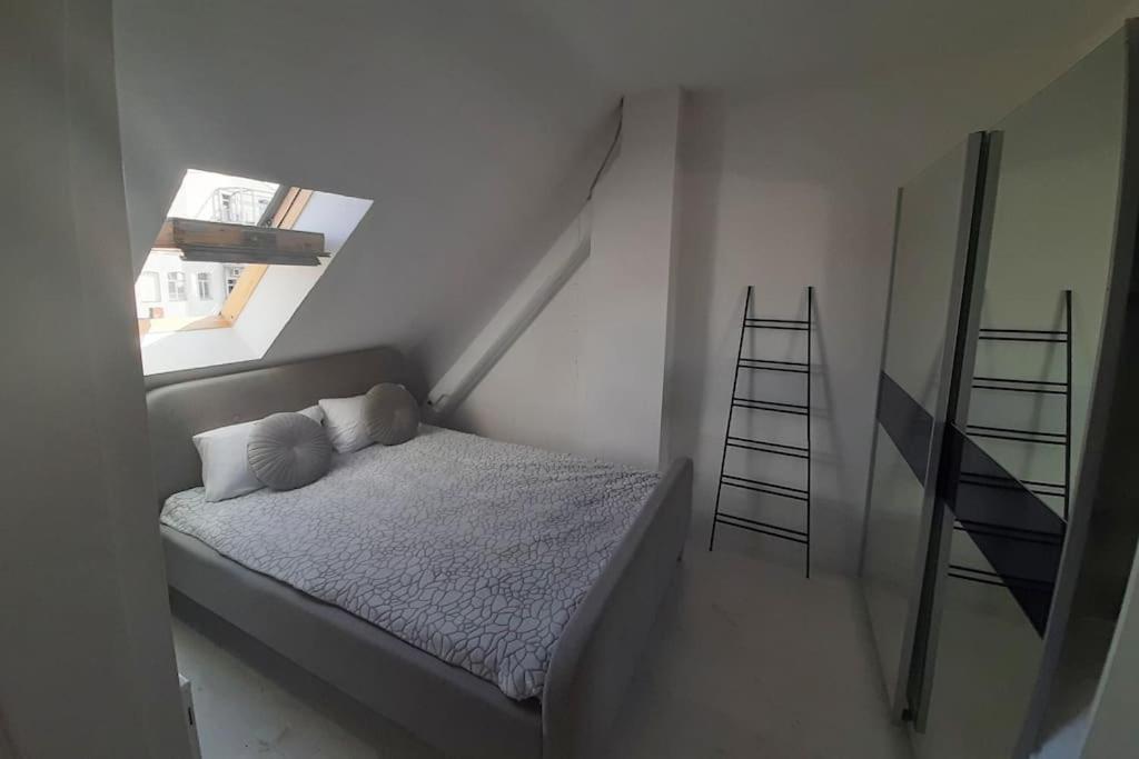 One-Bedroom Apartment photo 3