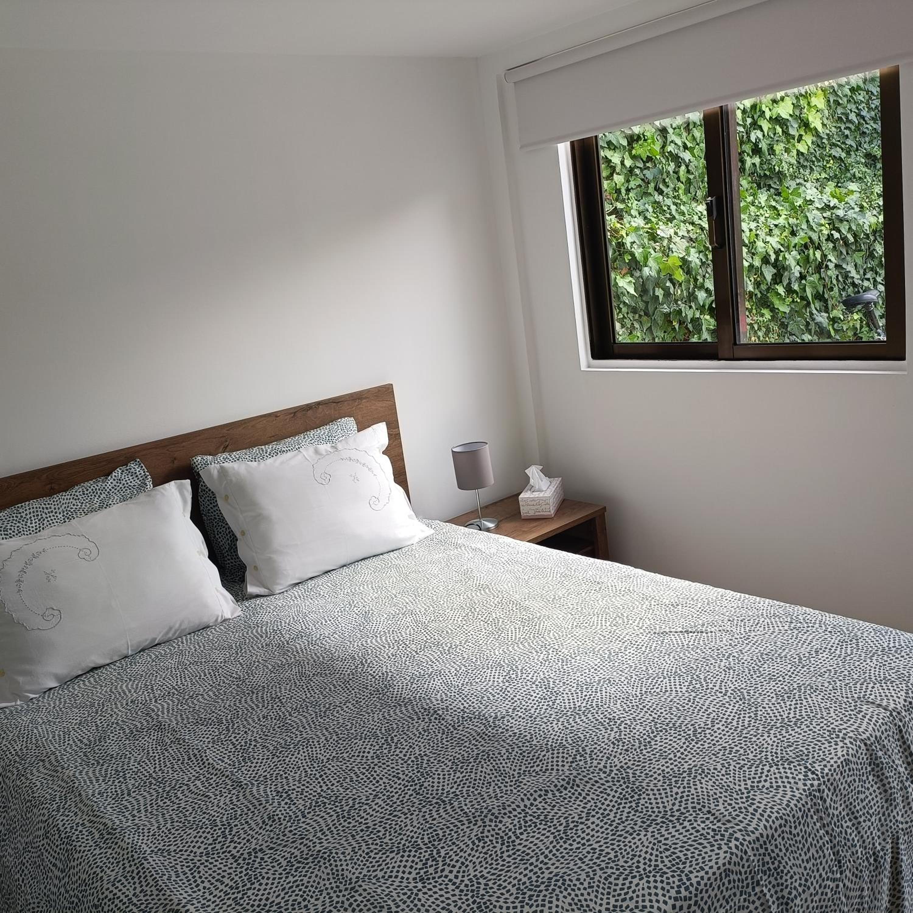 Standard Suite - Photo 2