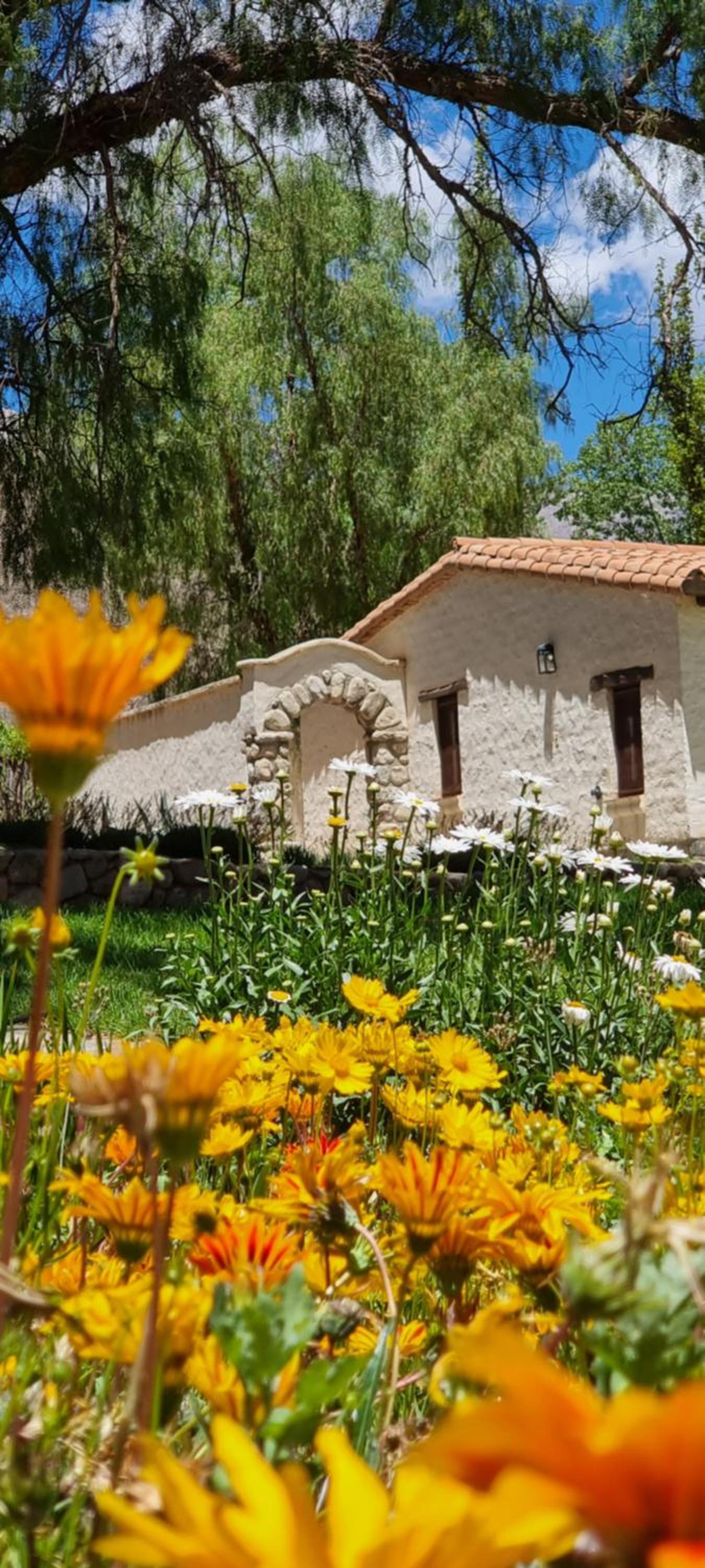 Vacation Home photo 3