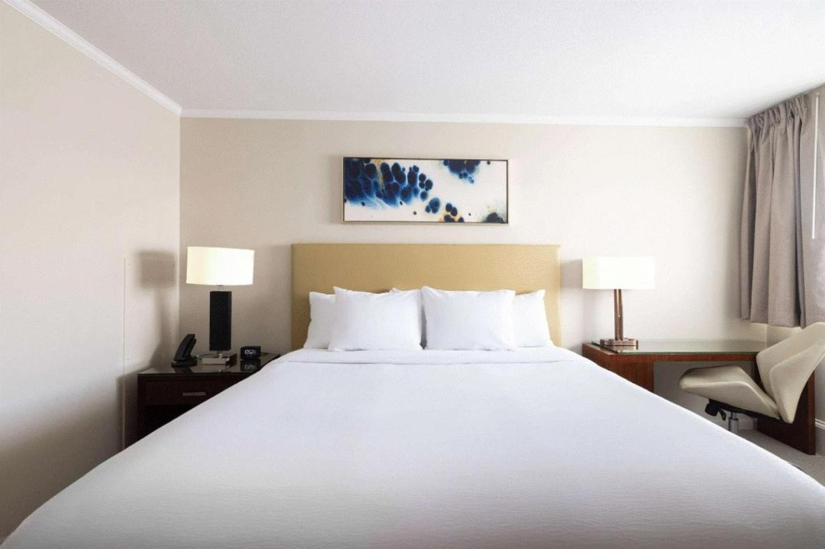 King Room photo 1
