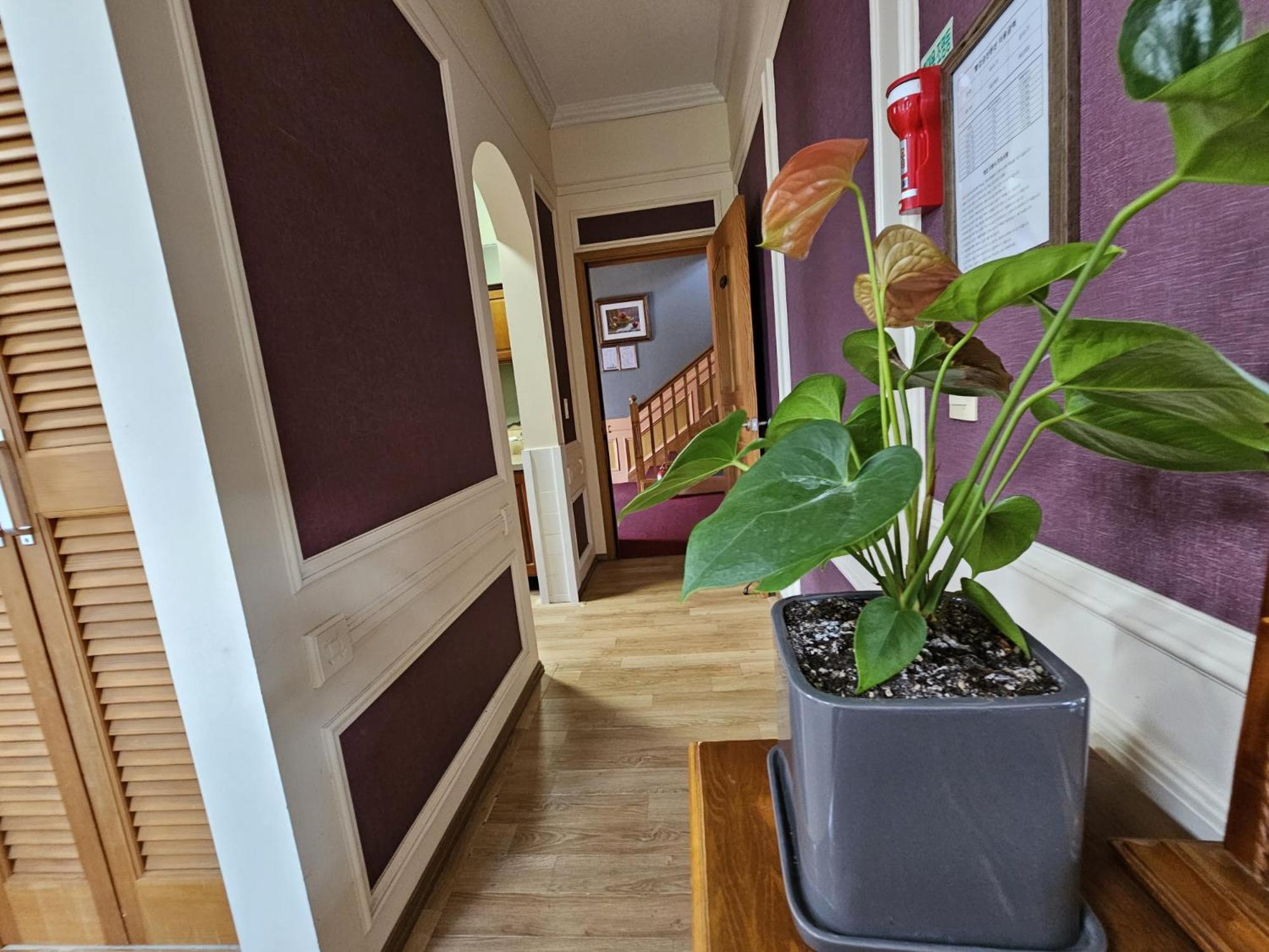 Standard Family Room - Photo 8