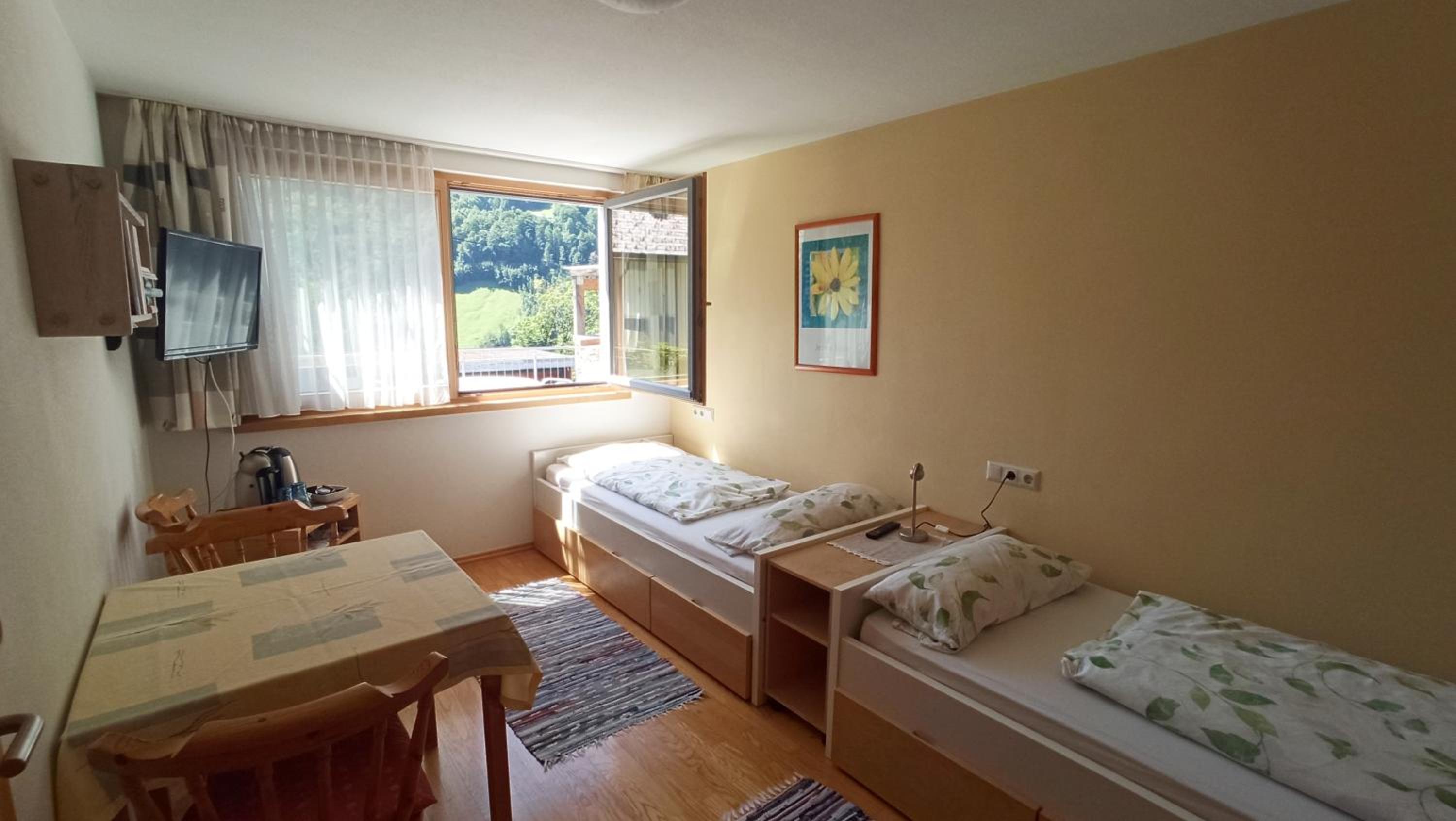 Standard Twin Room with Mountain View photo 2
