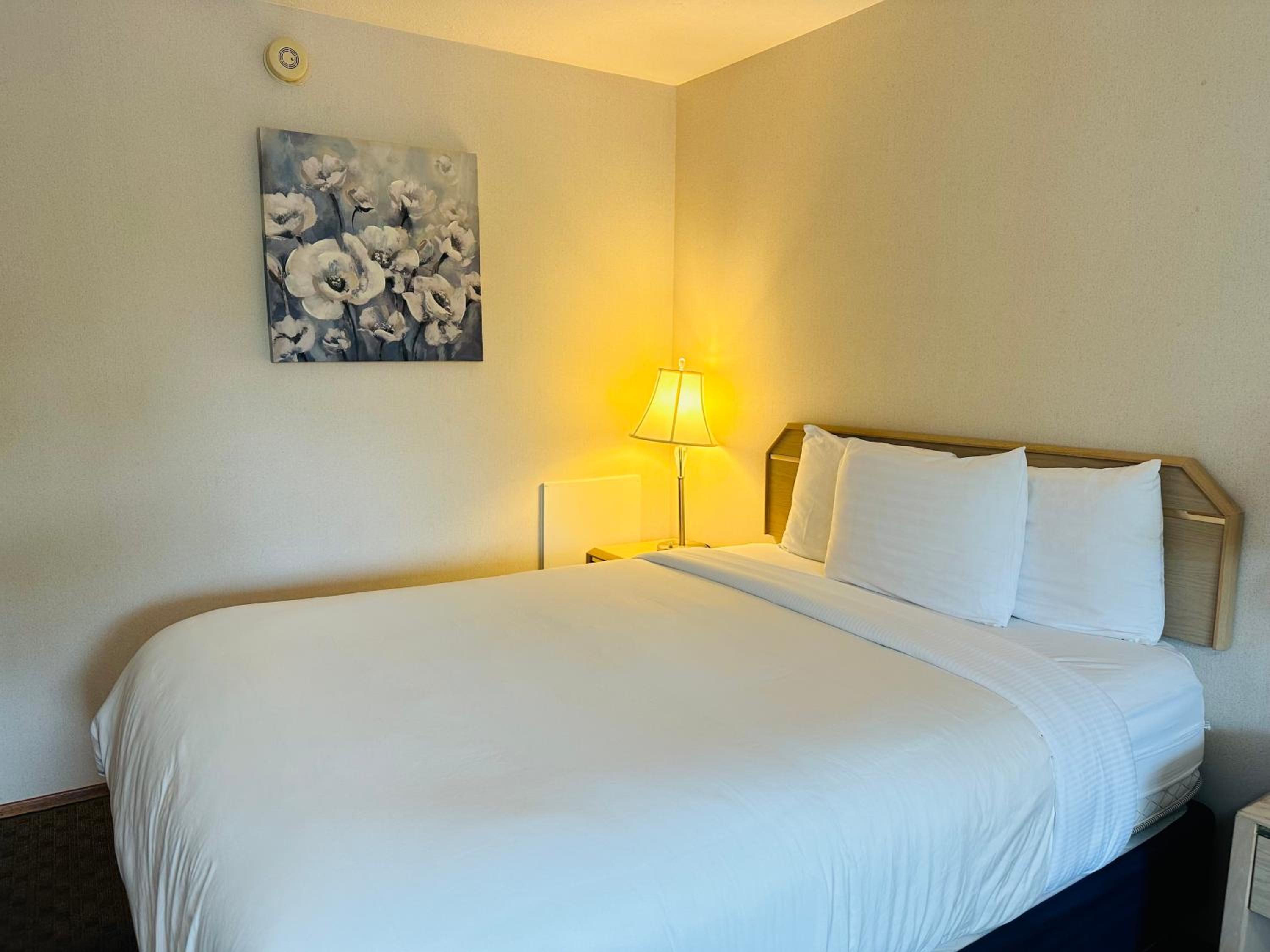 Queen Room - Photo 11