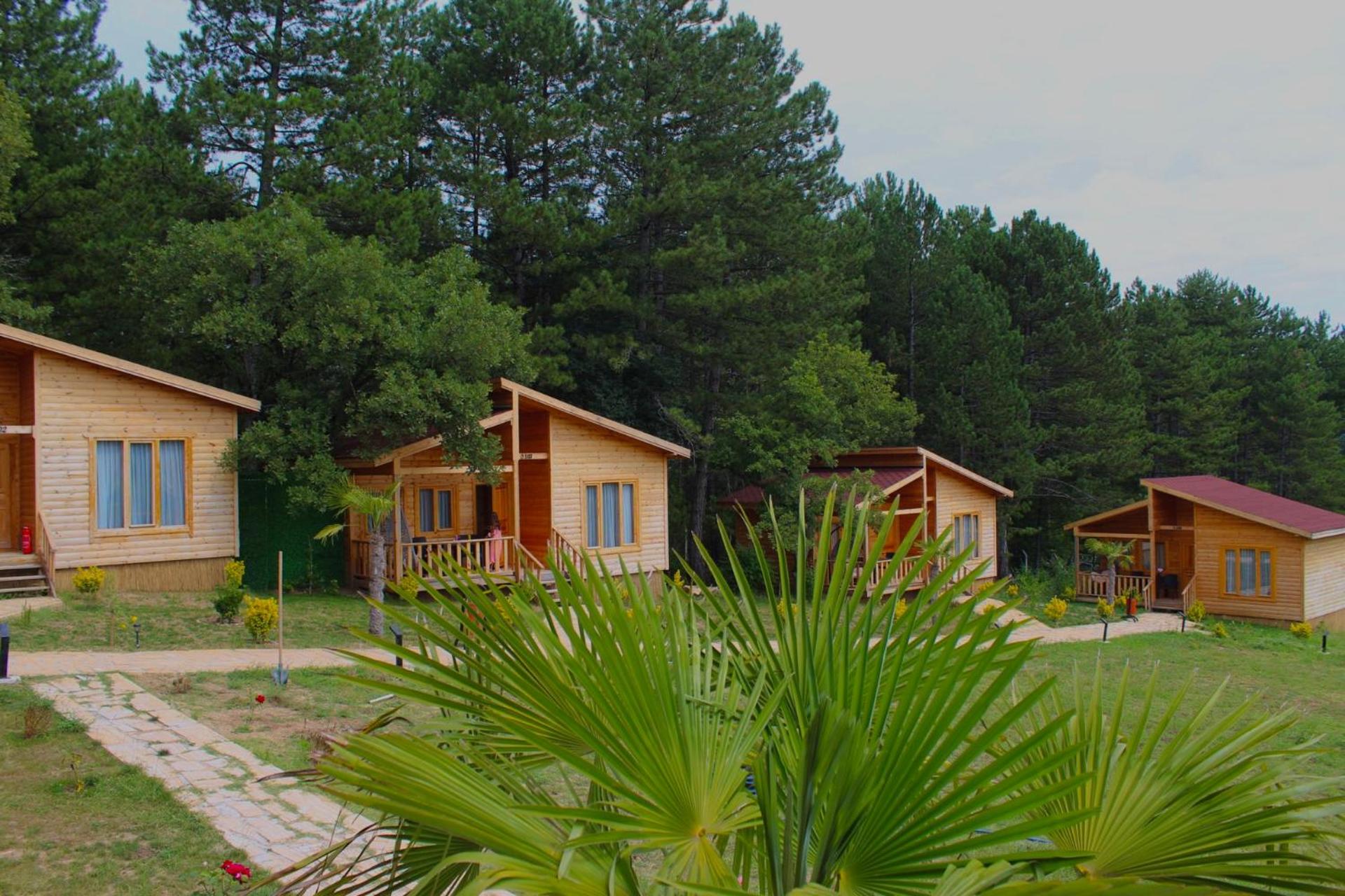 Family Bungalow photo 3