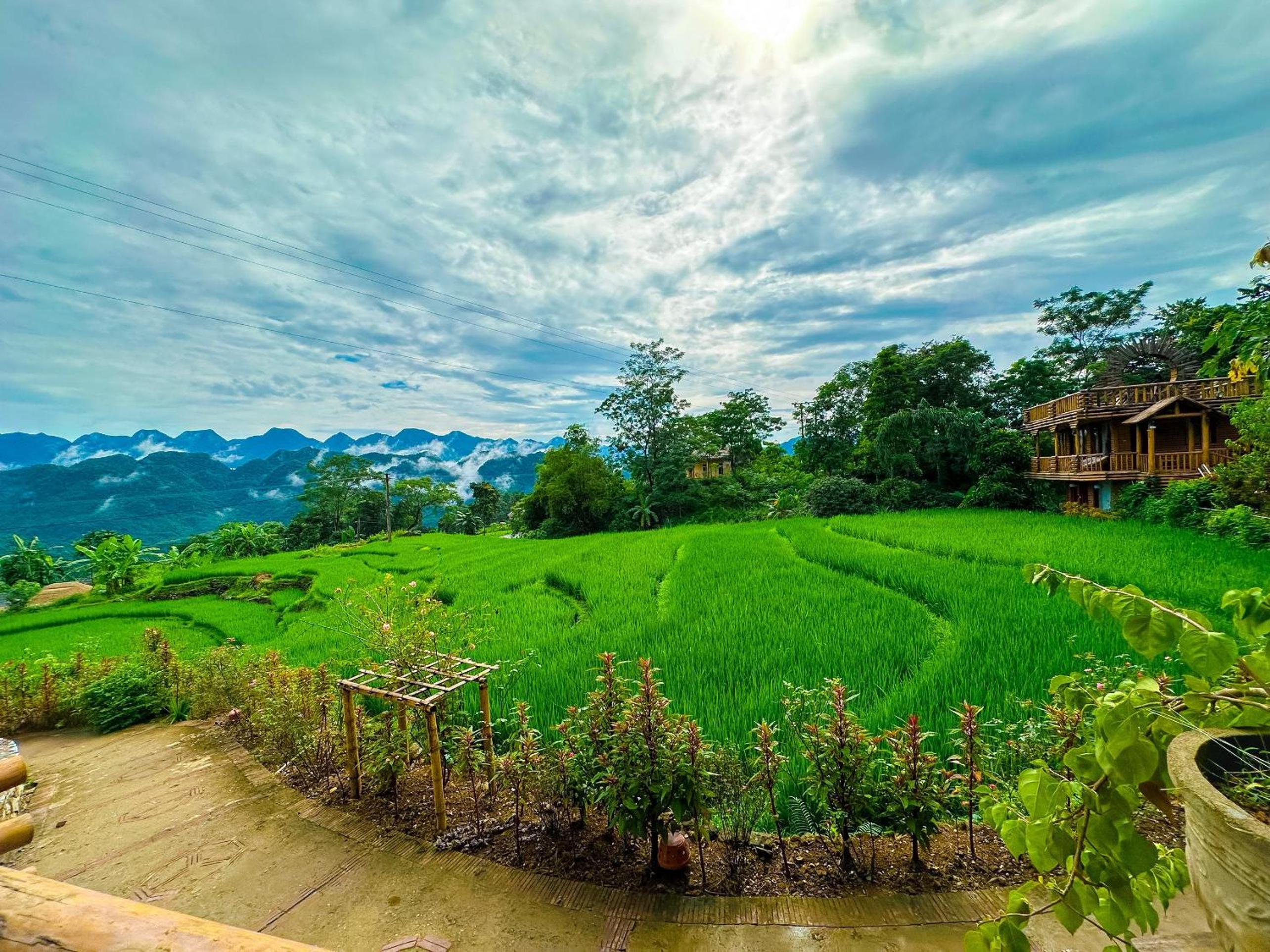 Big Family Room with Balcony and Rice Field  View photo 3