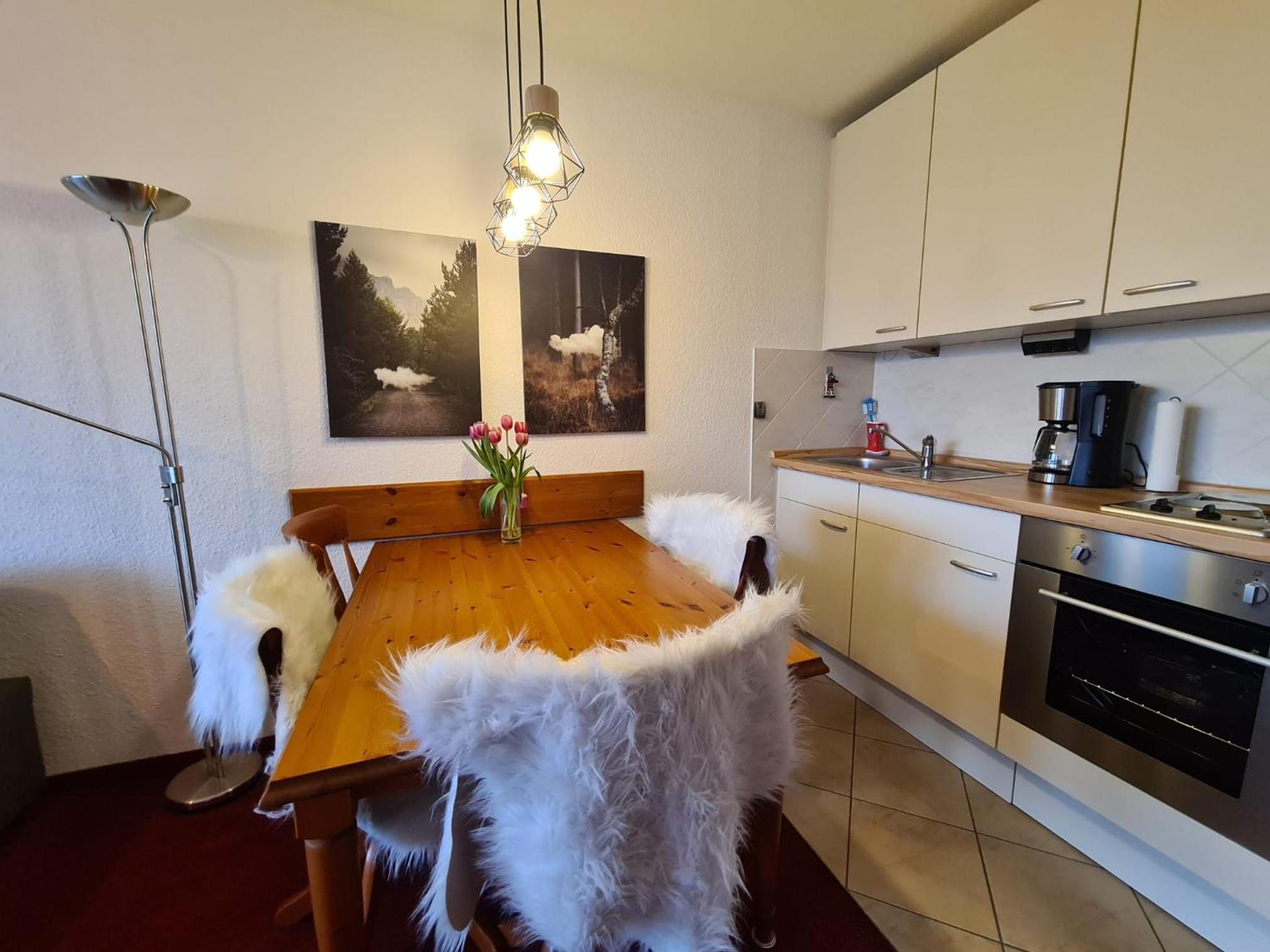 Apartment with Mountain View photo 3