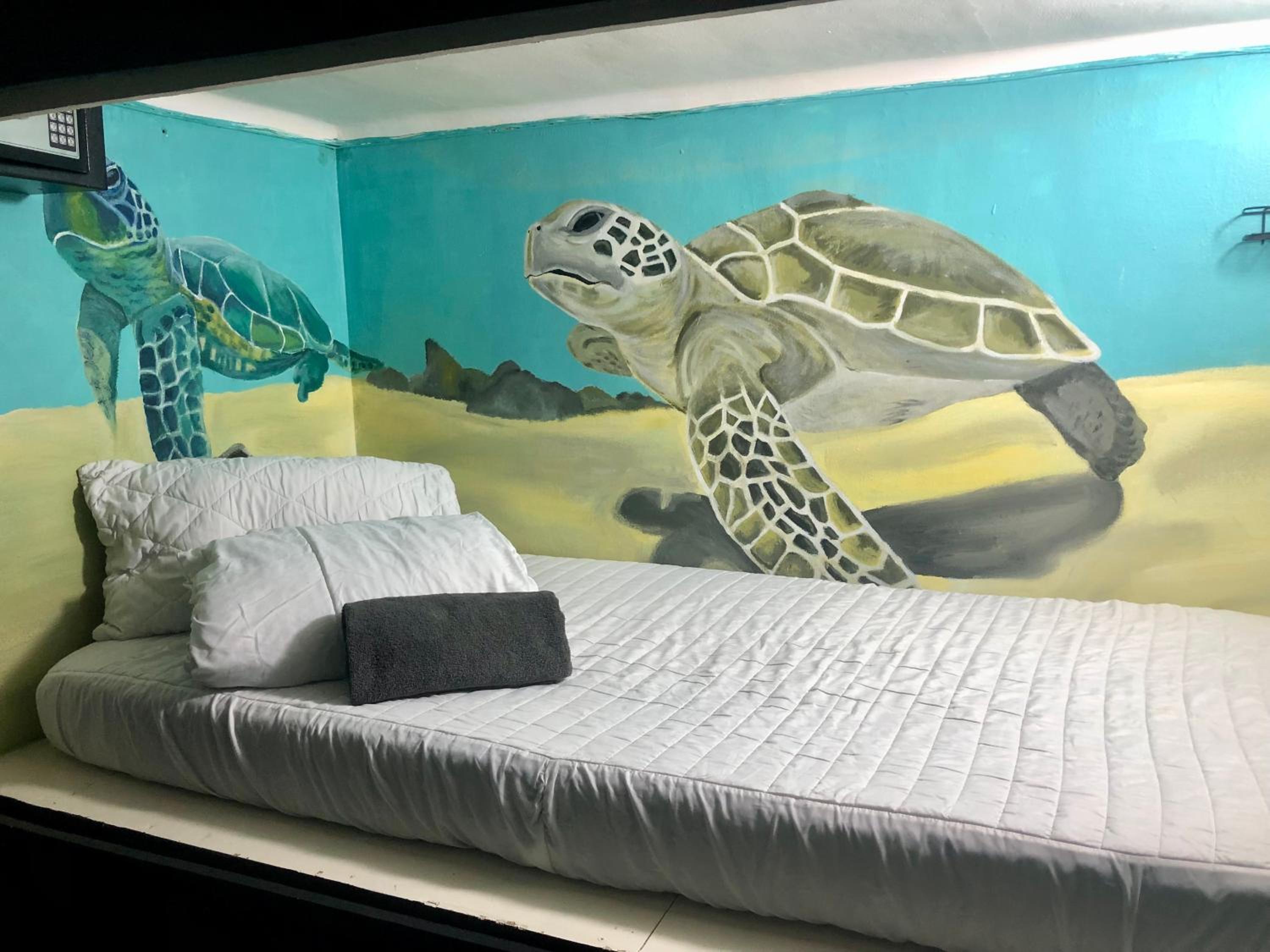 Single Bed in Dormitory Room