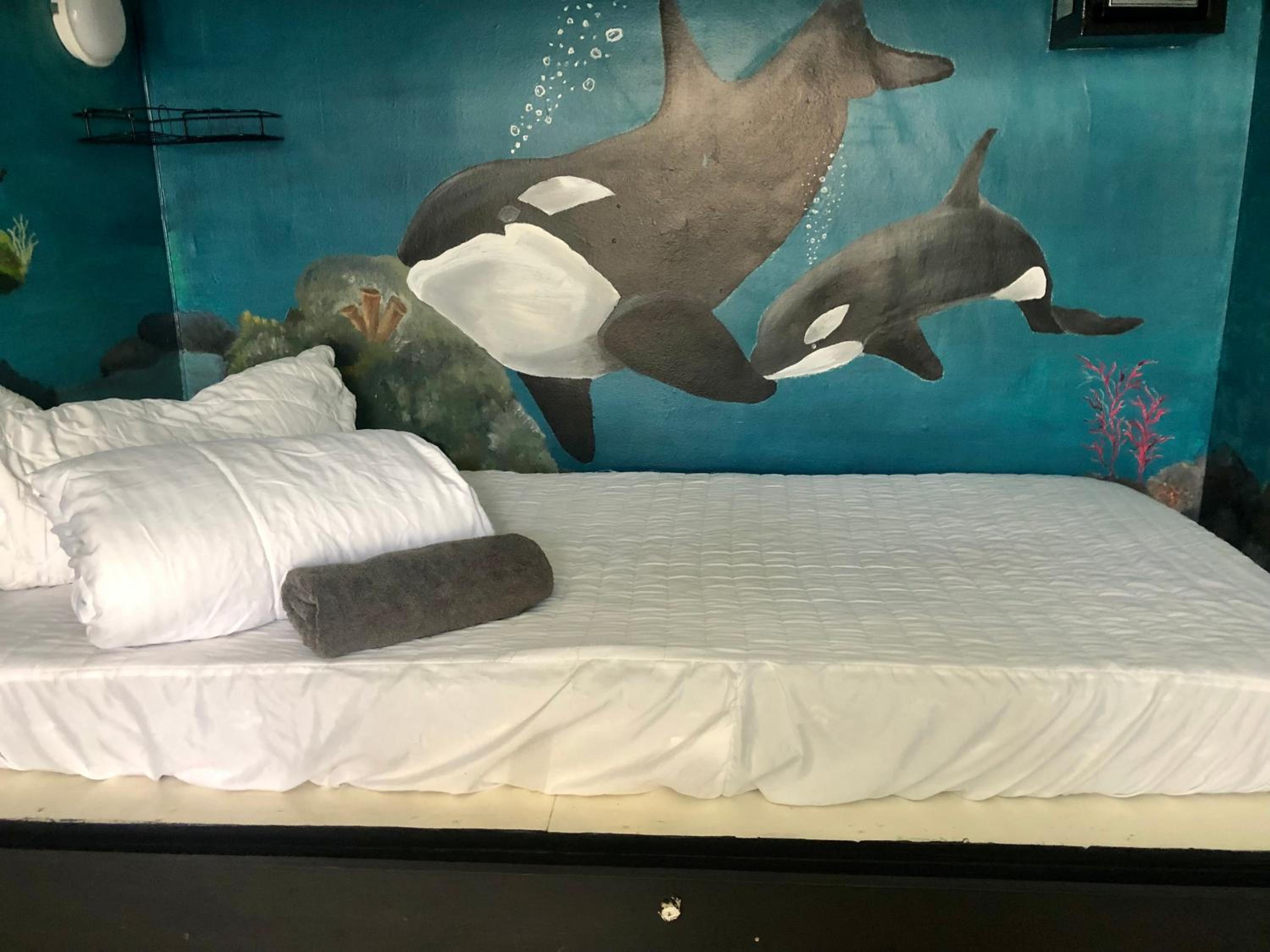 Single Bed in Dormitory Room