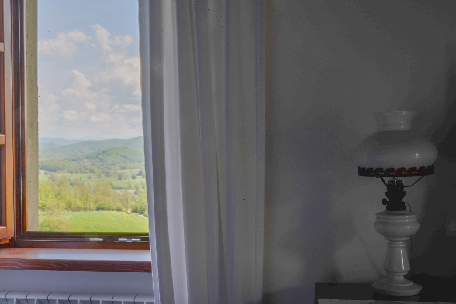 Double Room with Mountain View photo 2