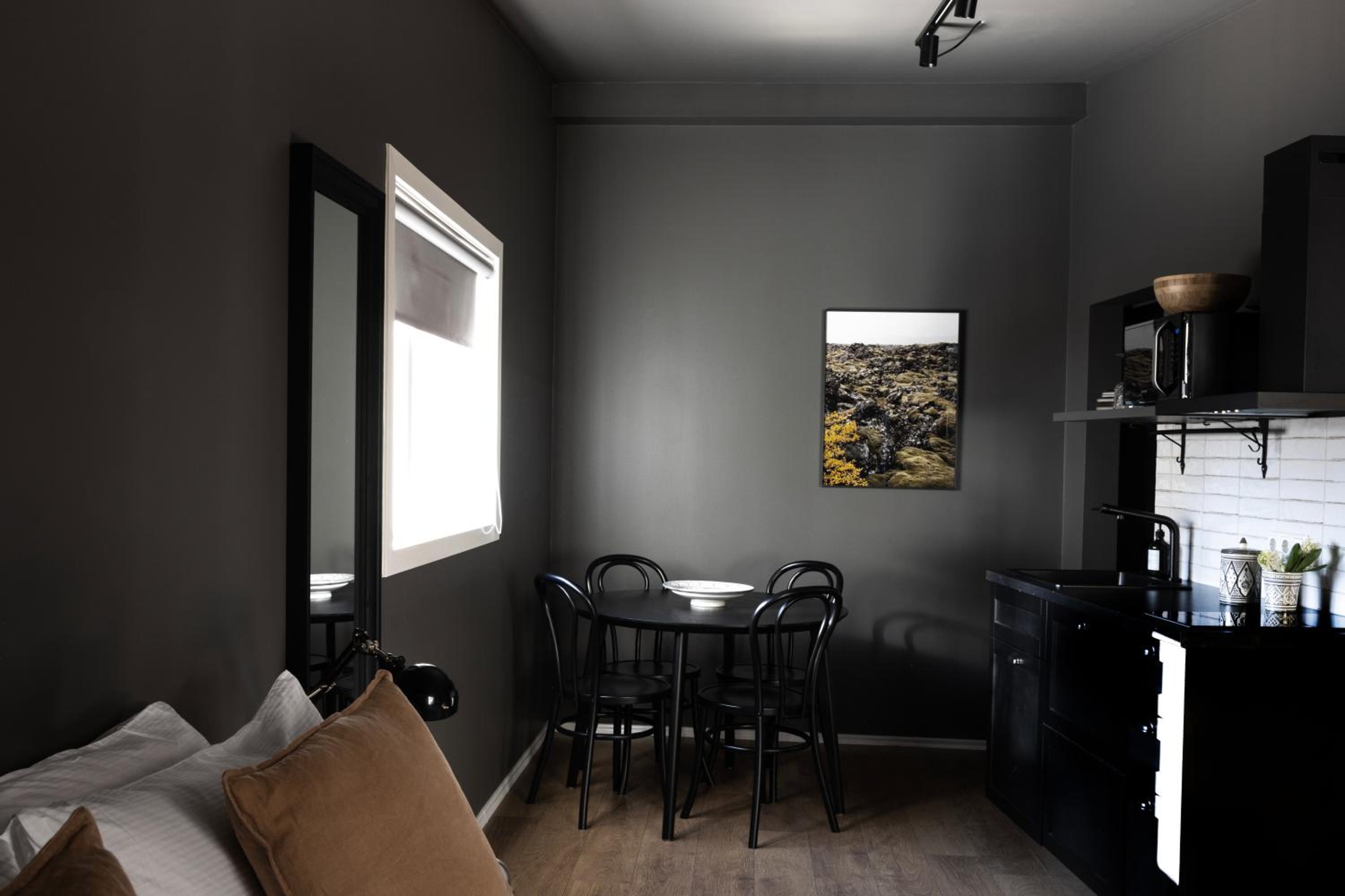 One-Bedroom Apartment - Photo 4