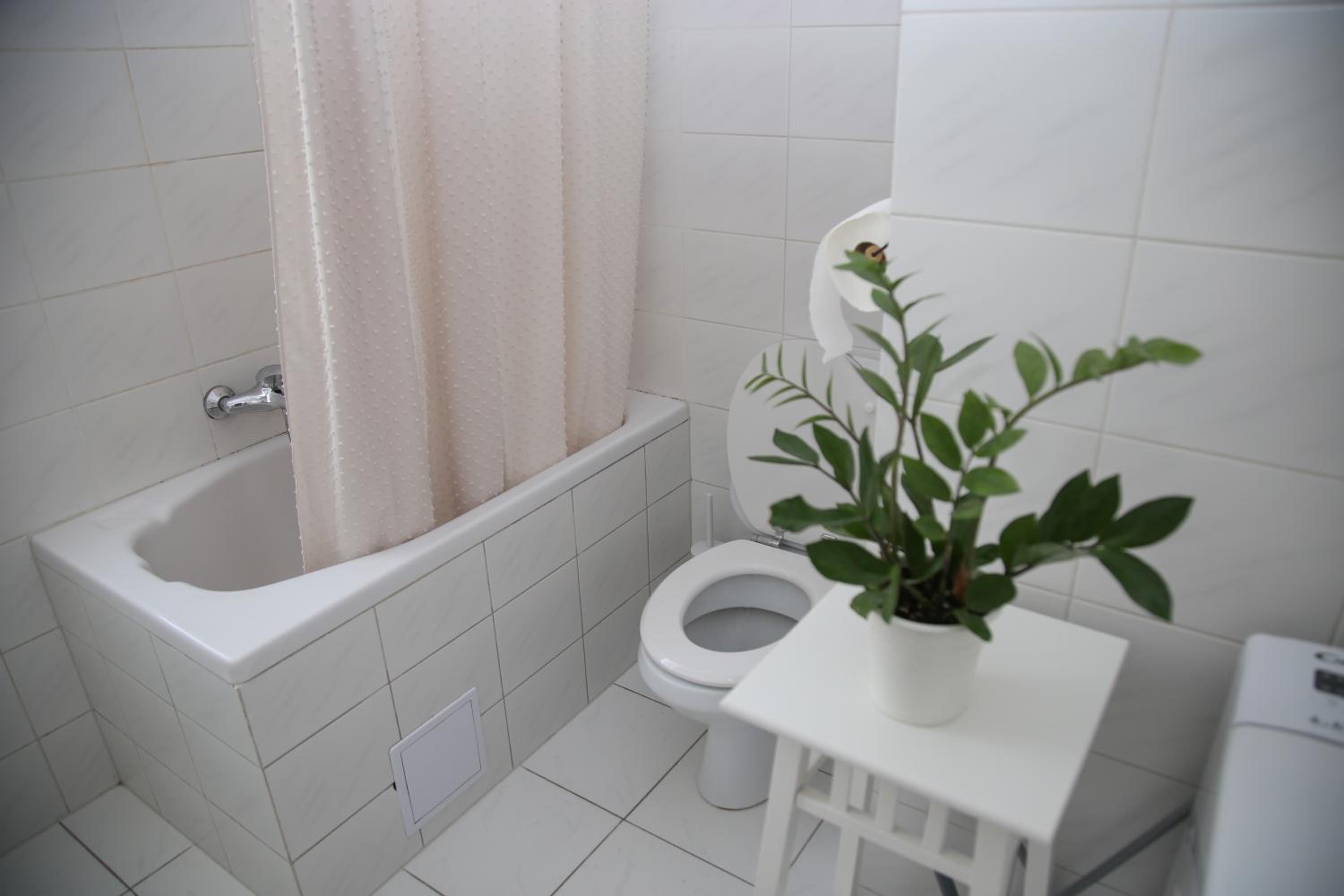 Apartment - Photo 3