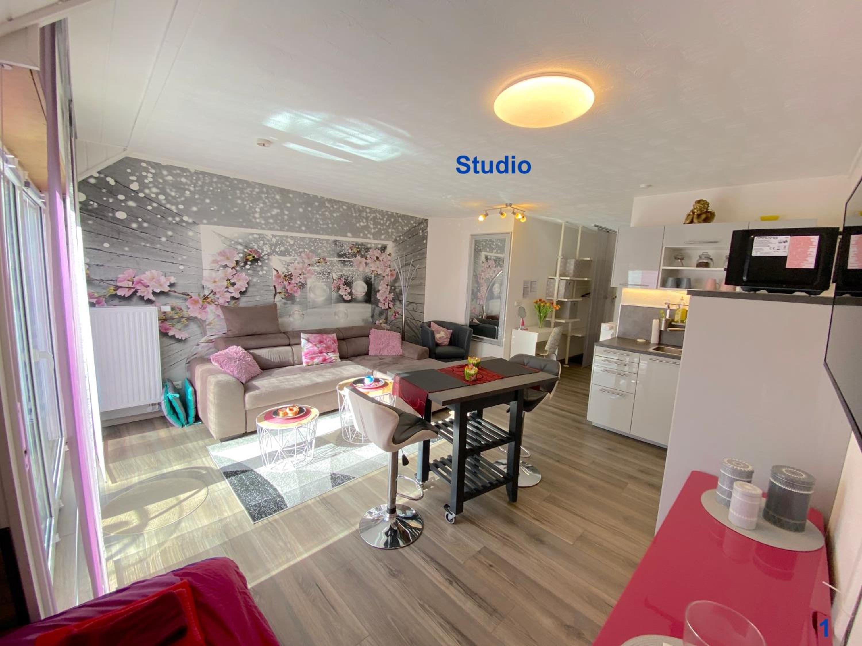 Studio Apartment photo 2