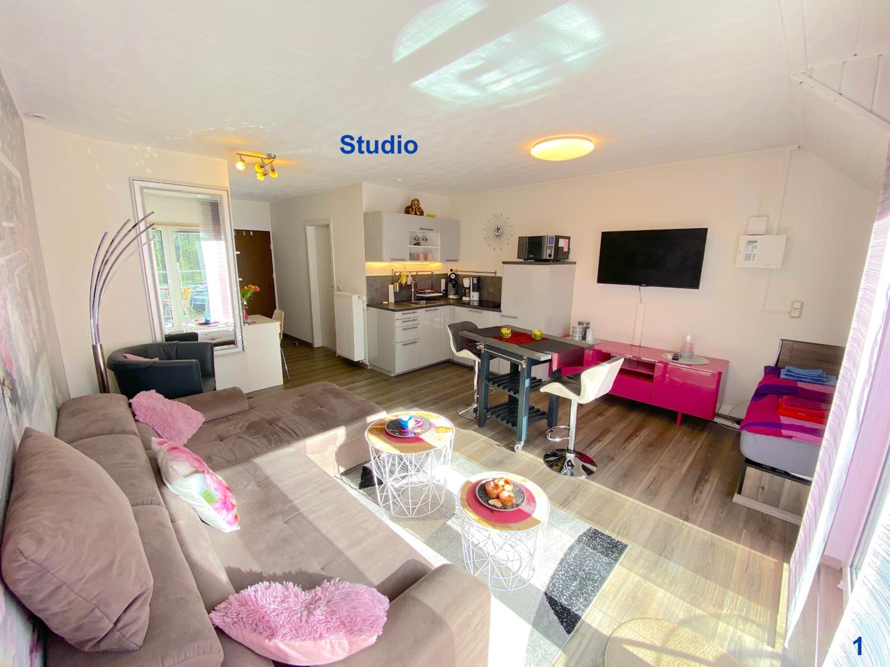 Studio Apartment photo 3