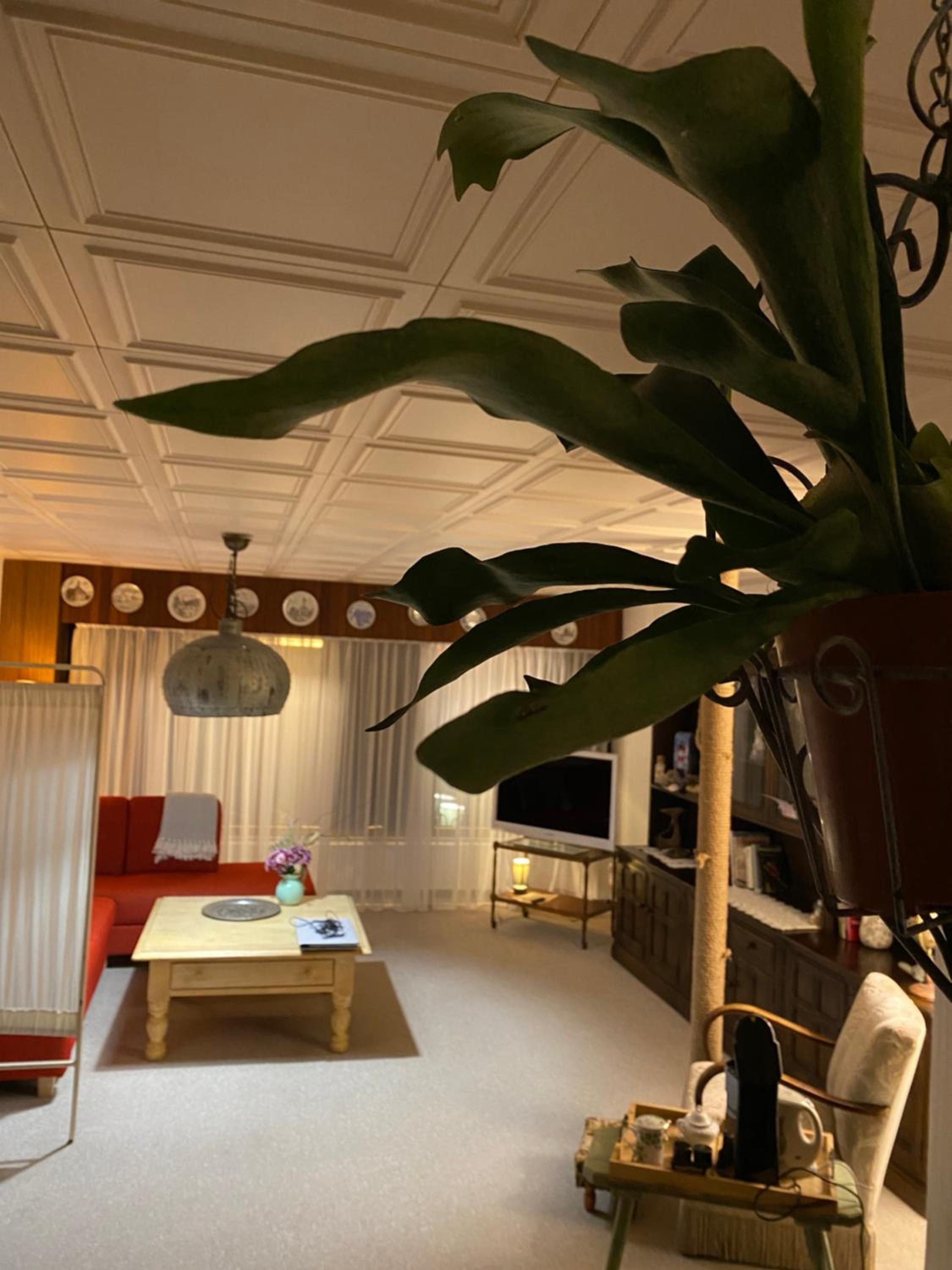 Standard Double Room with Shared Bathroom