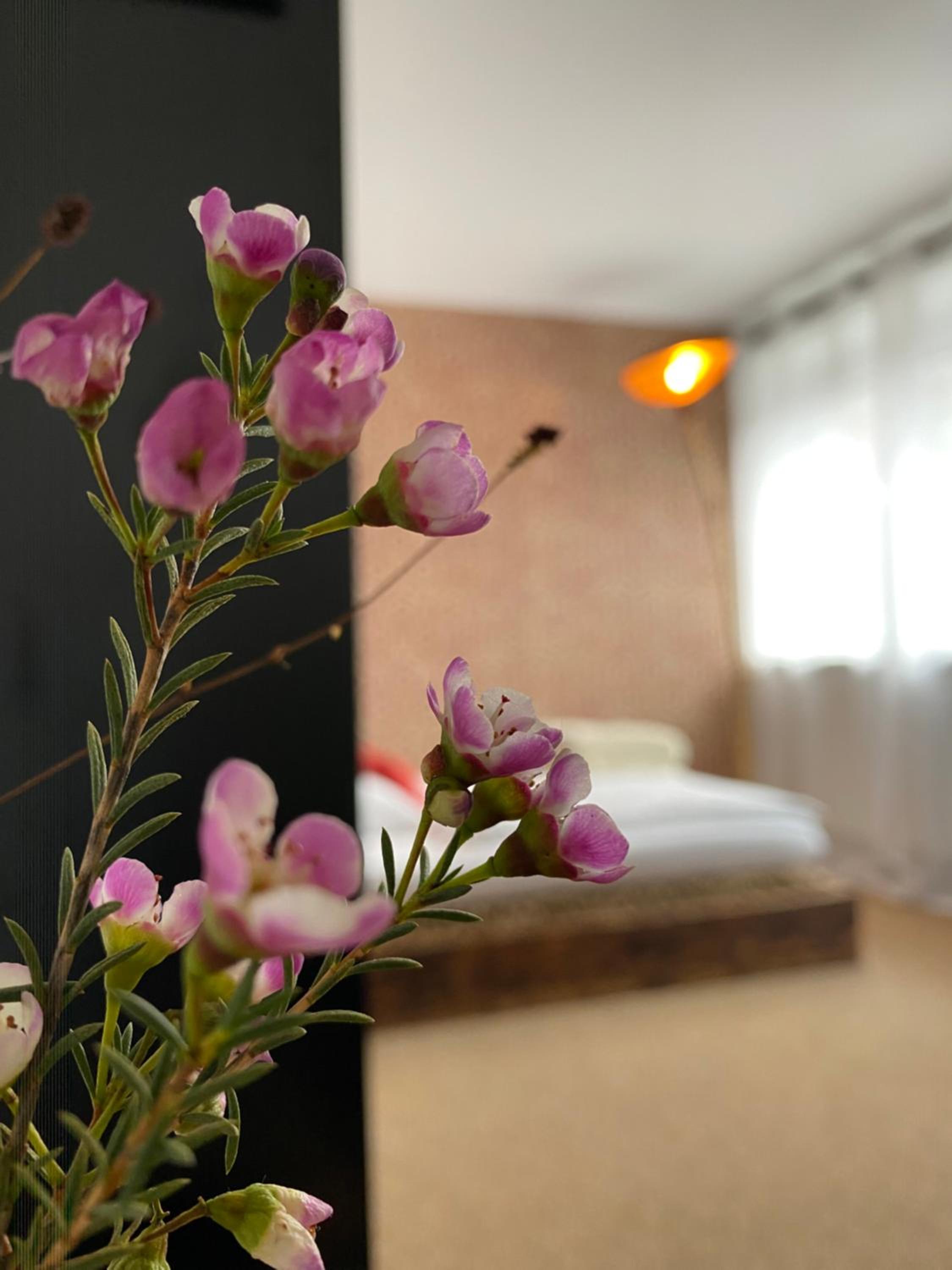 Single Room with Shared Bathroom