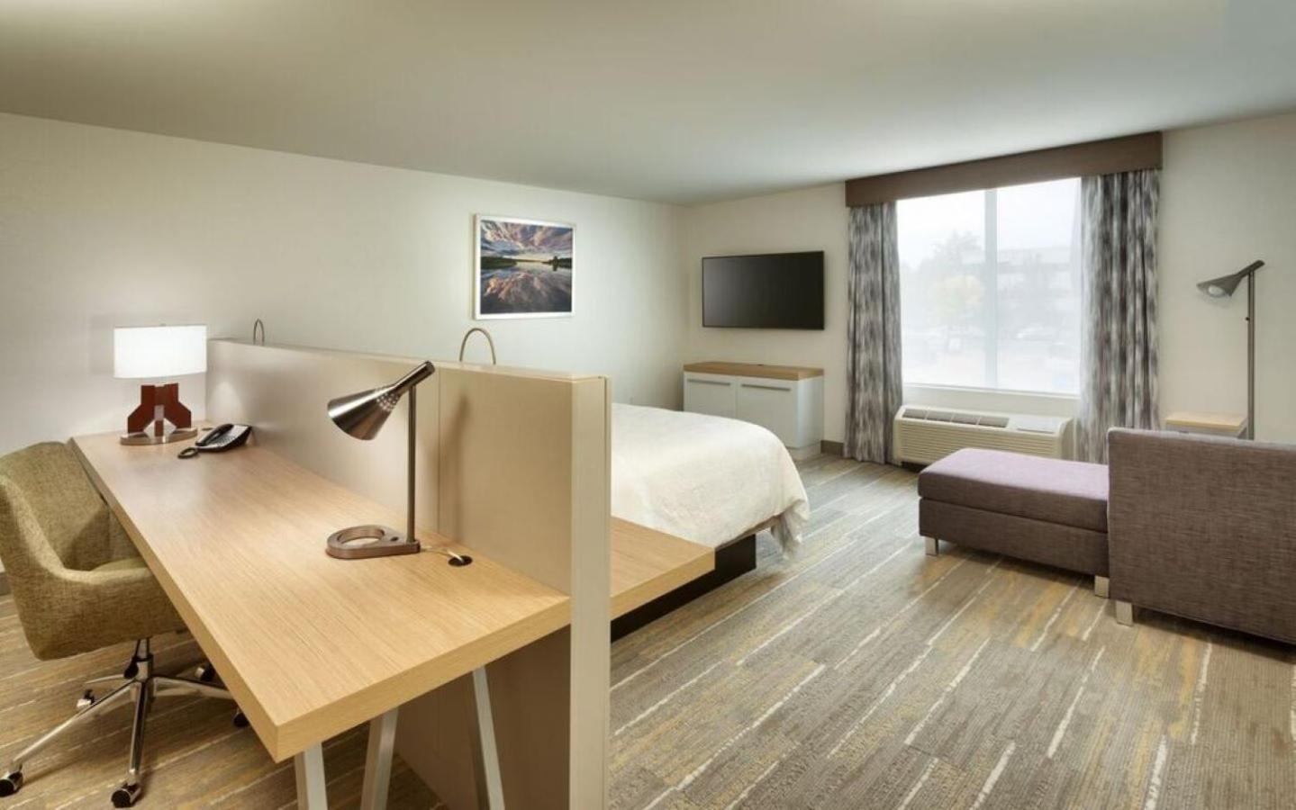 Junior King Suite photo 1