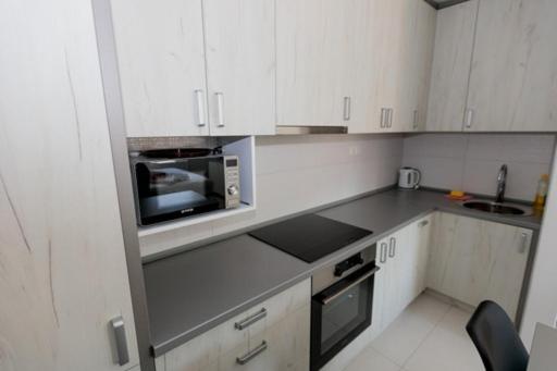 One-Bedroom Apartment photo 2