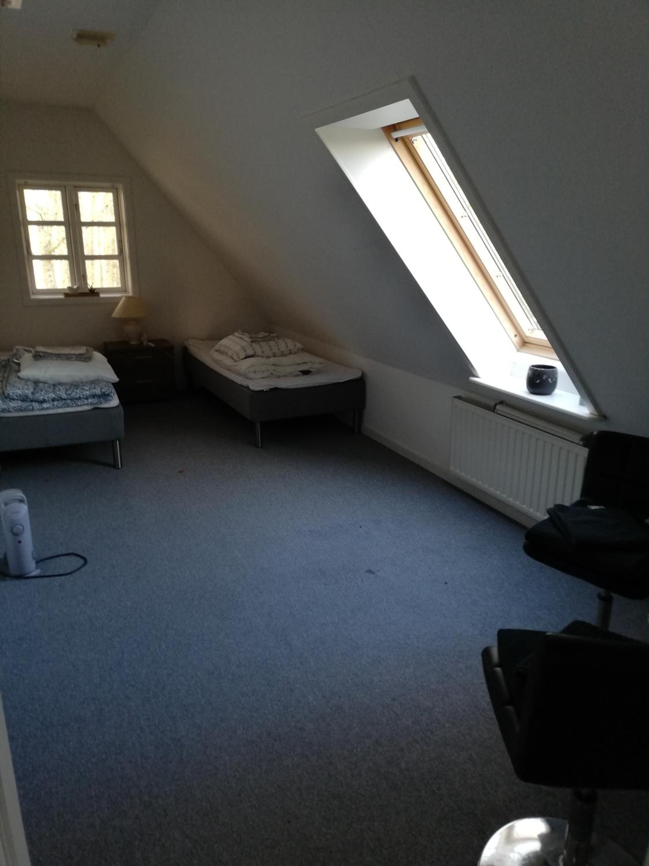 Double or Twin Room photo 1
