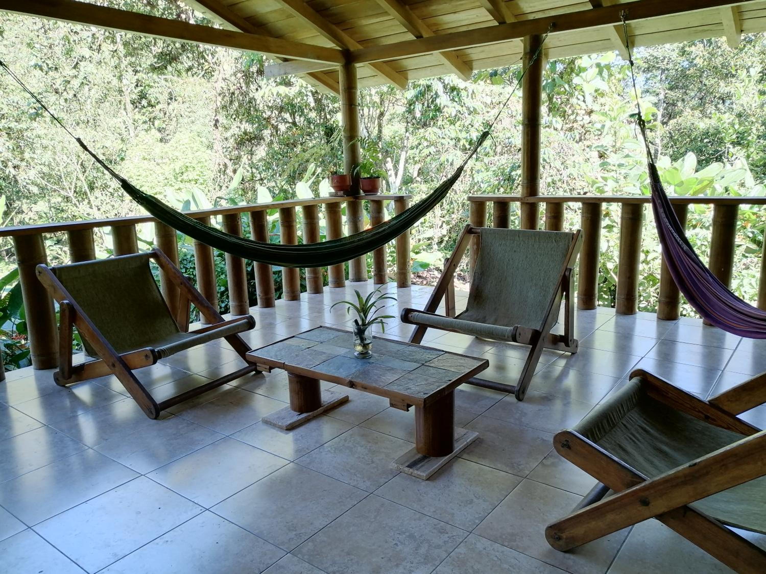 King Room with Garden View photo 3