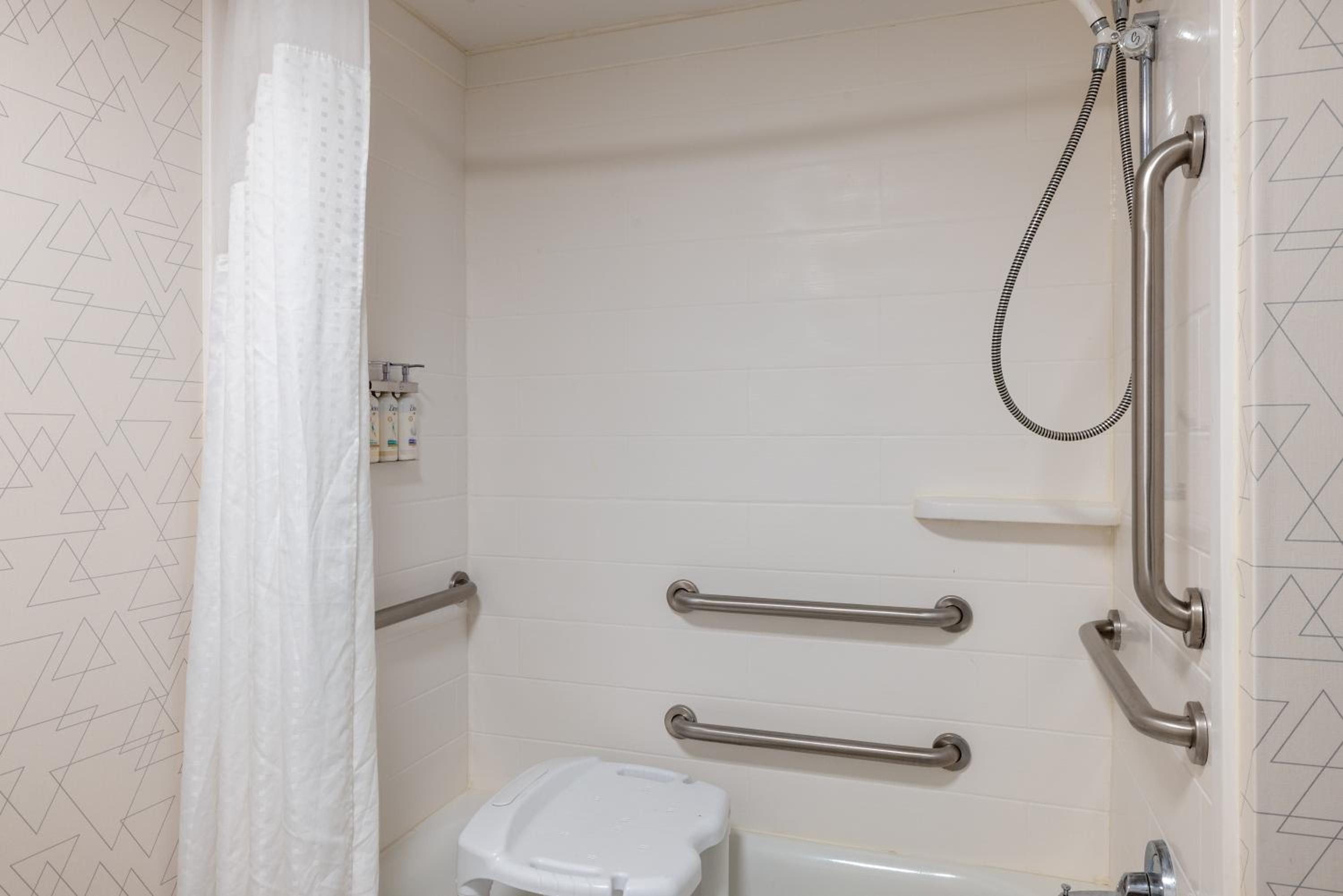 Queen Suite with Tub - Mobility Accessible - Photo 2