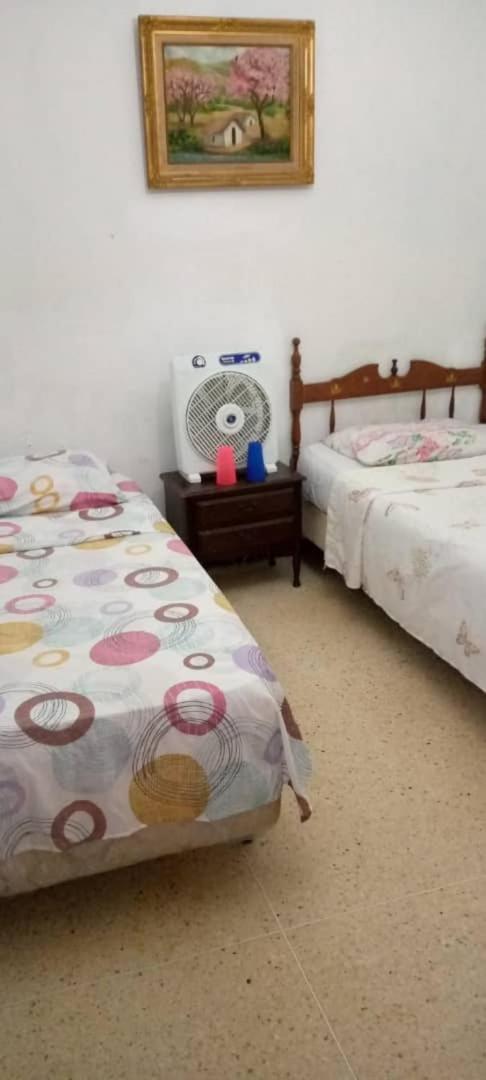 Double Room with Shared Bathroom