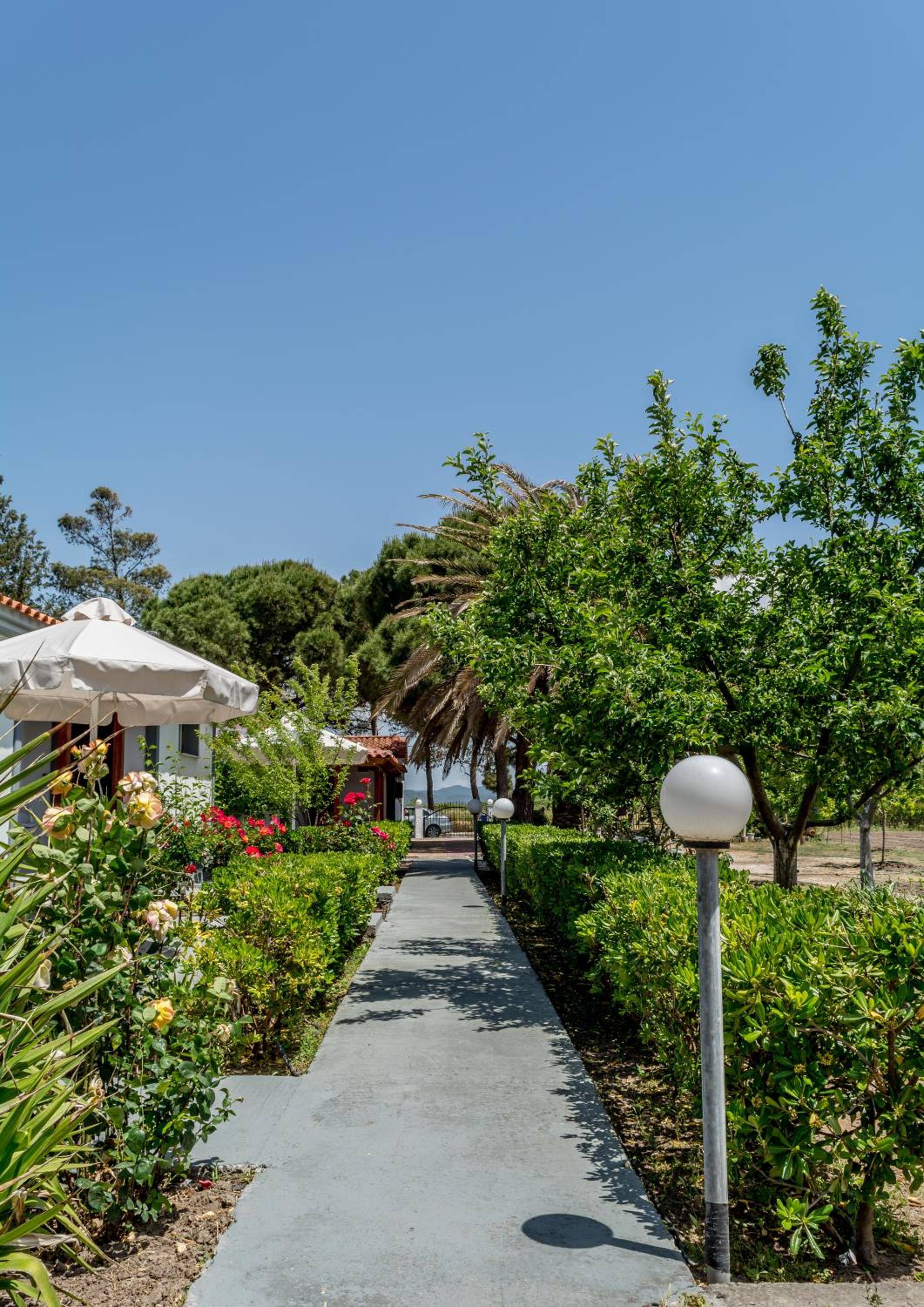 Bungalow with Garden View photo 3
