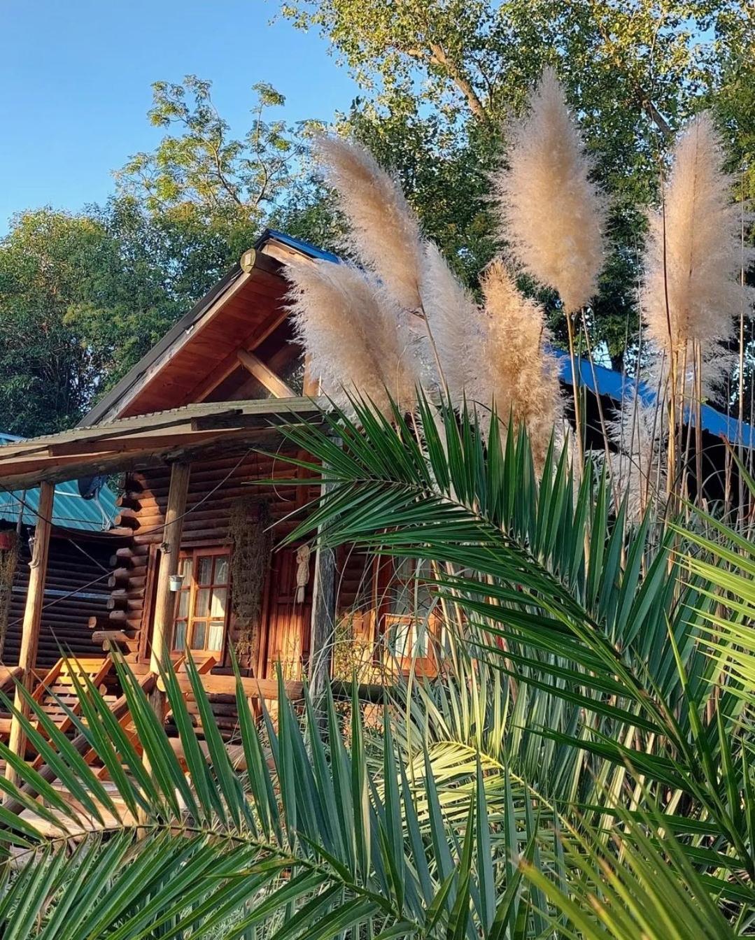 Family Bungalow photo 3