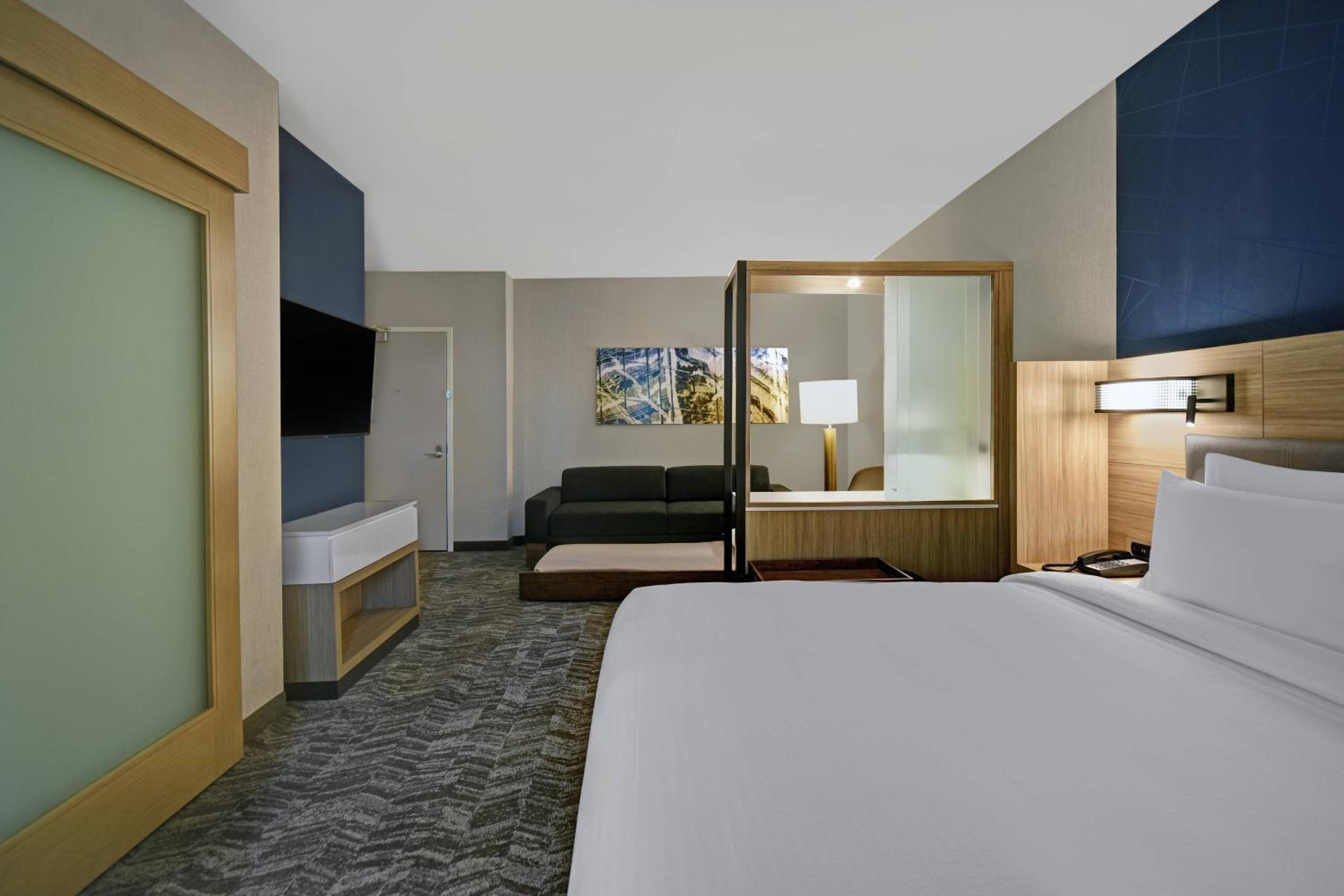 Larger Suite, 1 King, Sofa bed - Photo 1