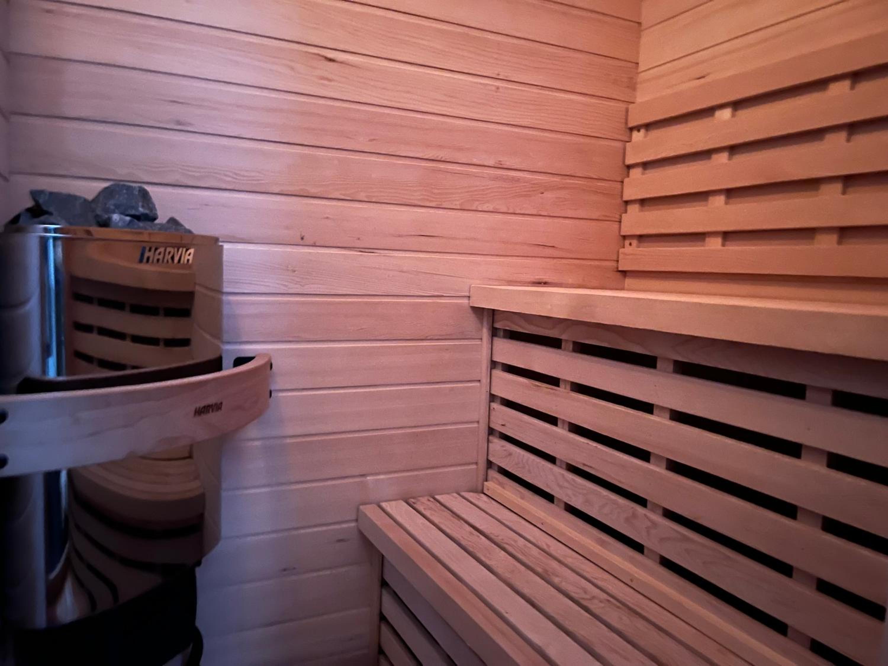 Family Room with Sauna - Photo 3