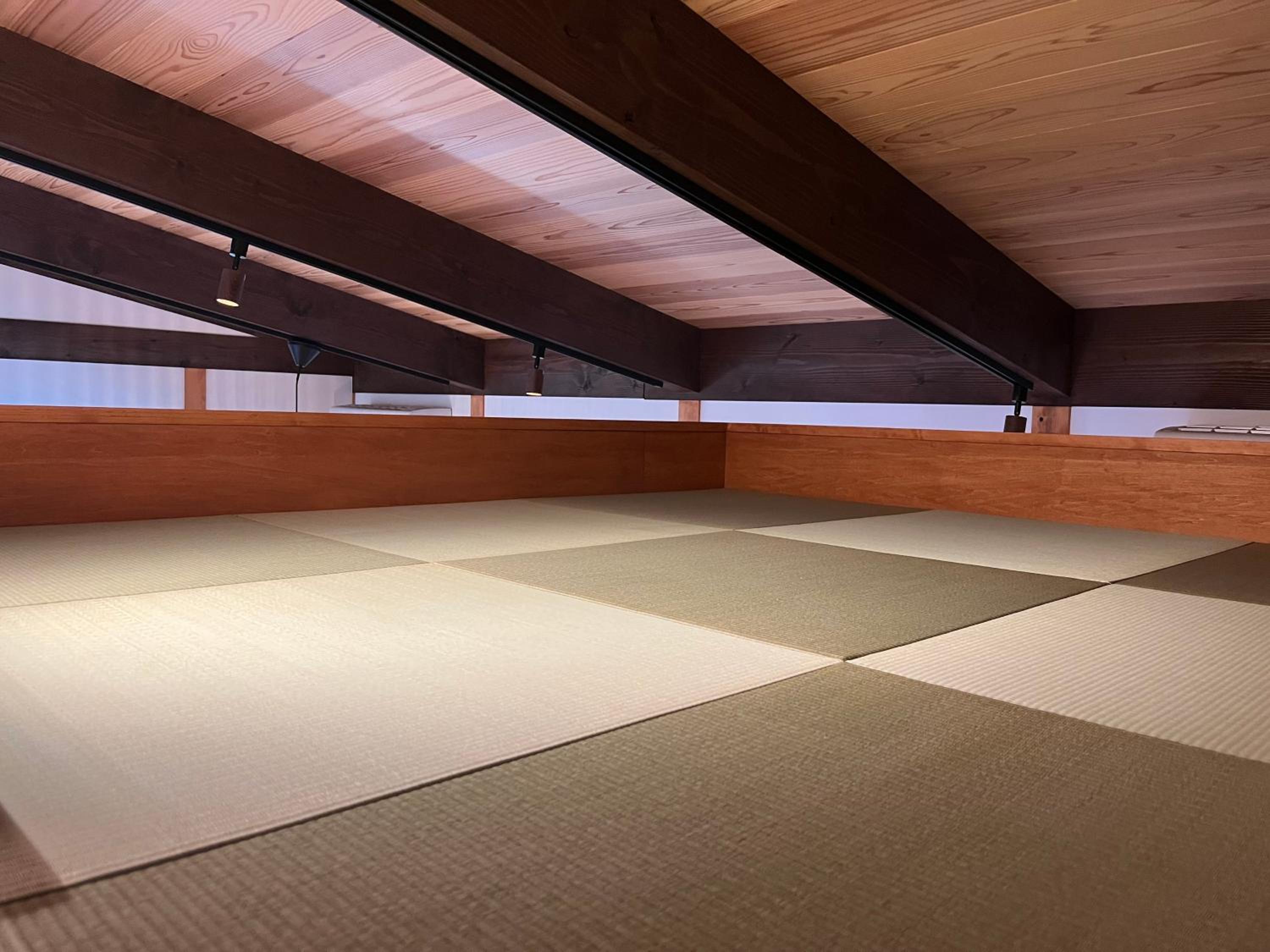 Family Room with Sauna - Photo 9