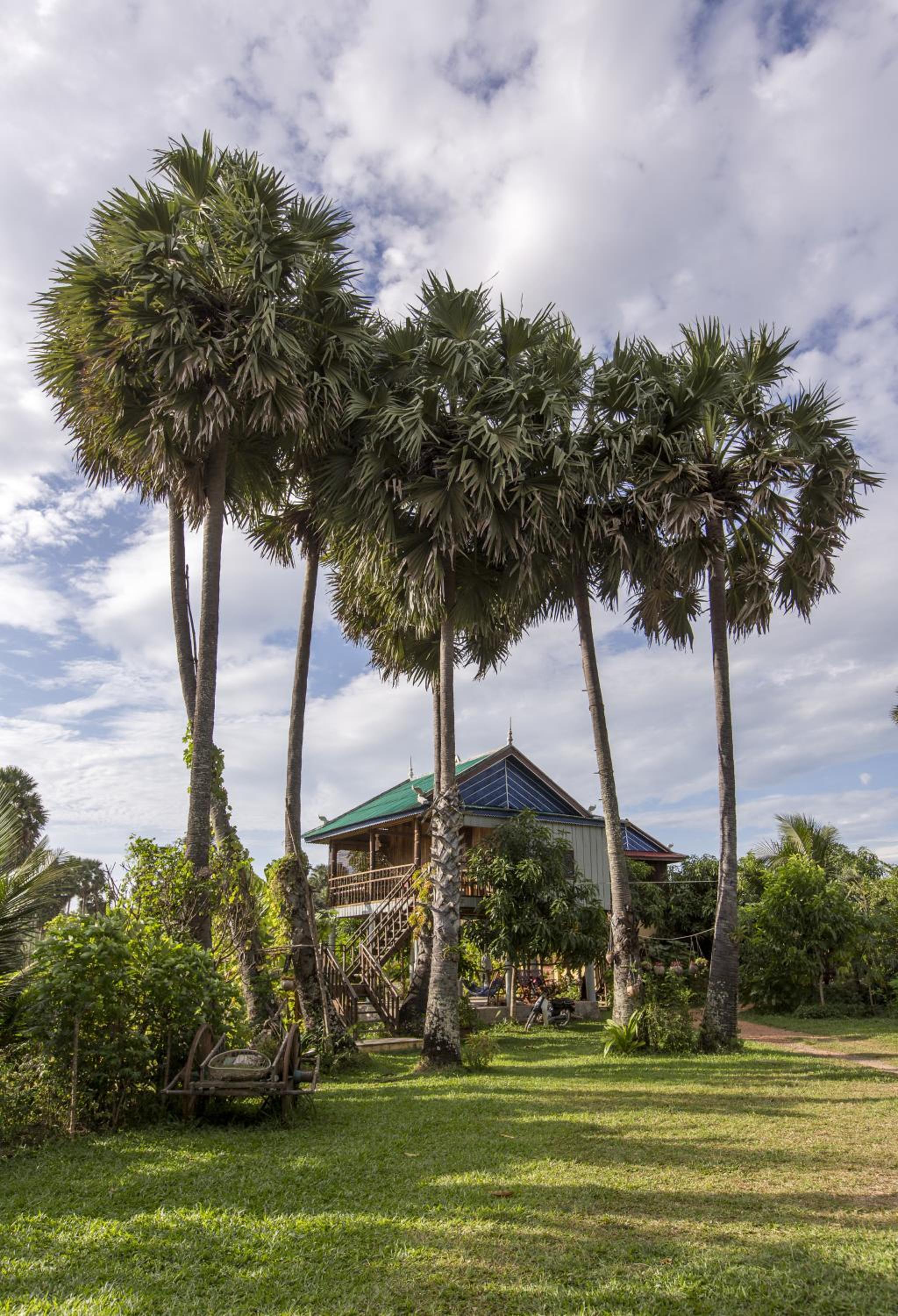 Palm Lodge photo 3