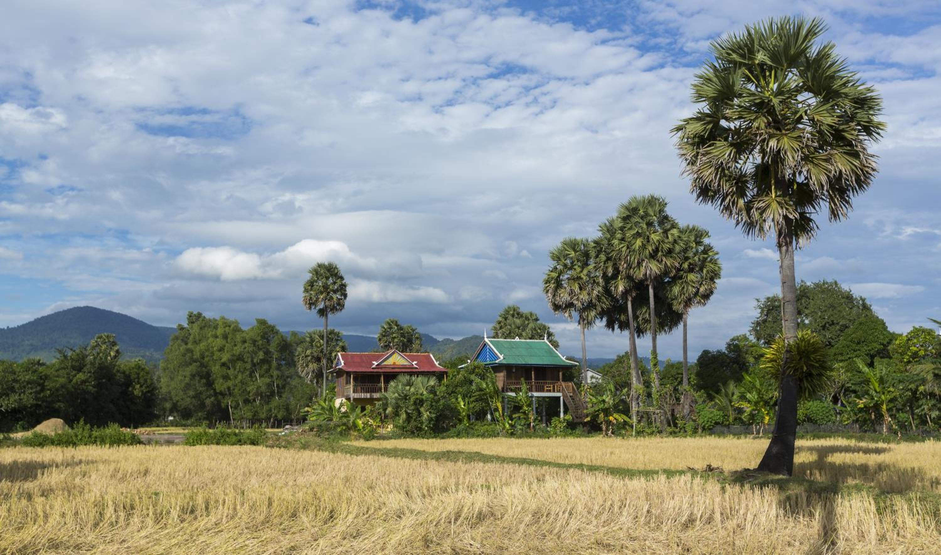 Paddy Lodge photo 2