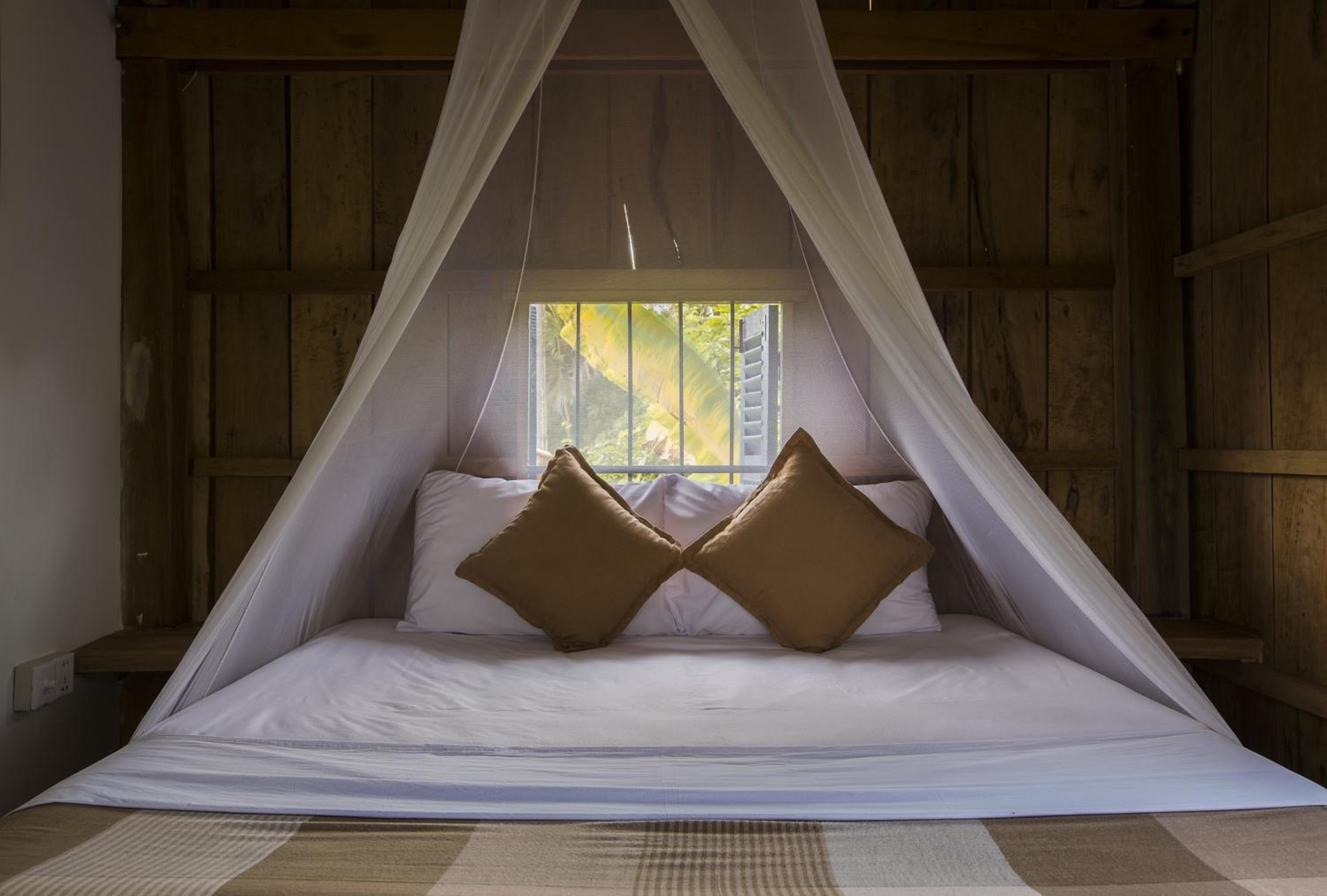 Paddy Lodge photo 1