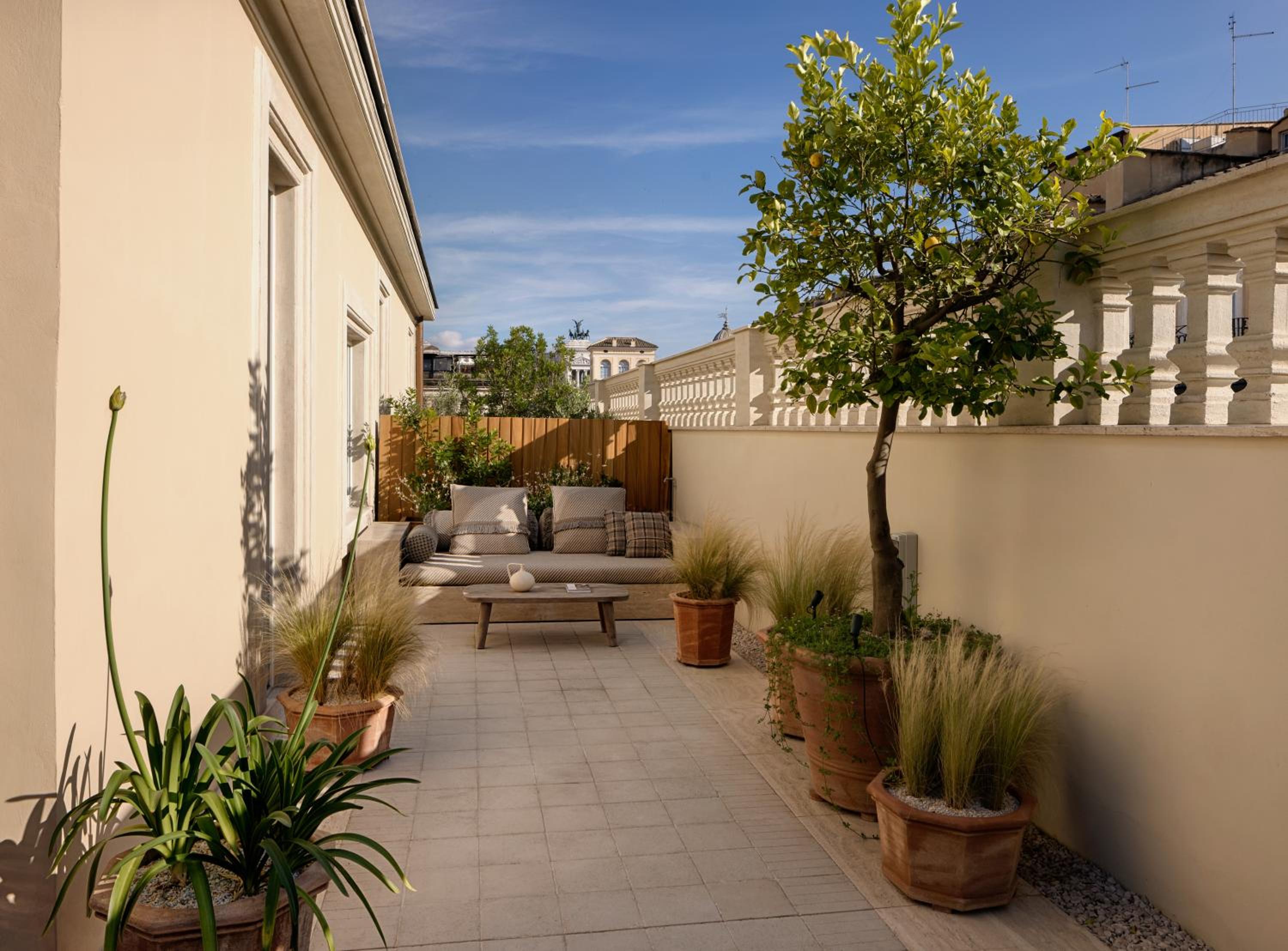 Terrace Junior Suite photo 3