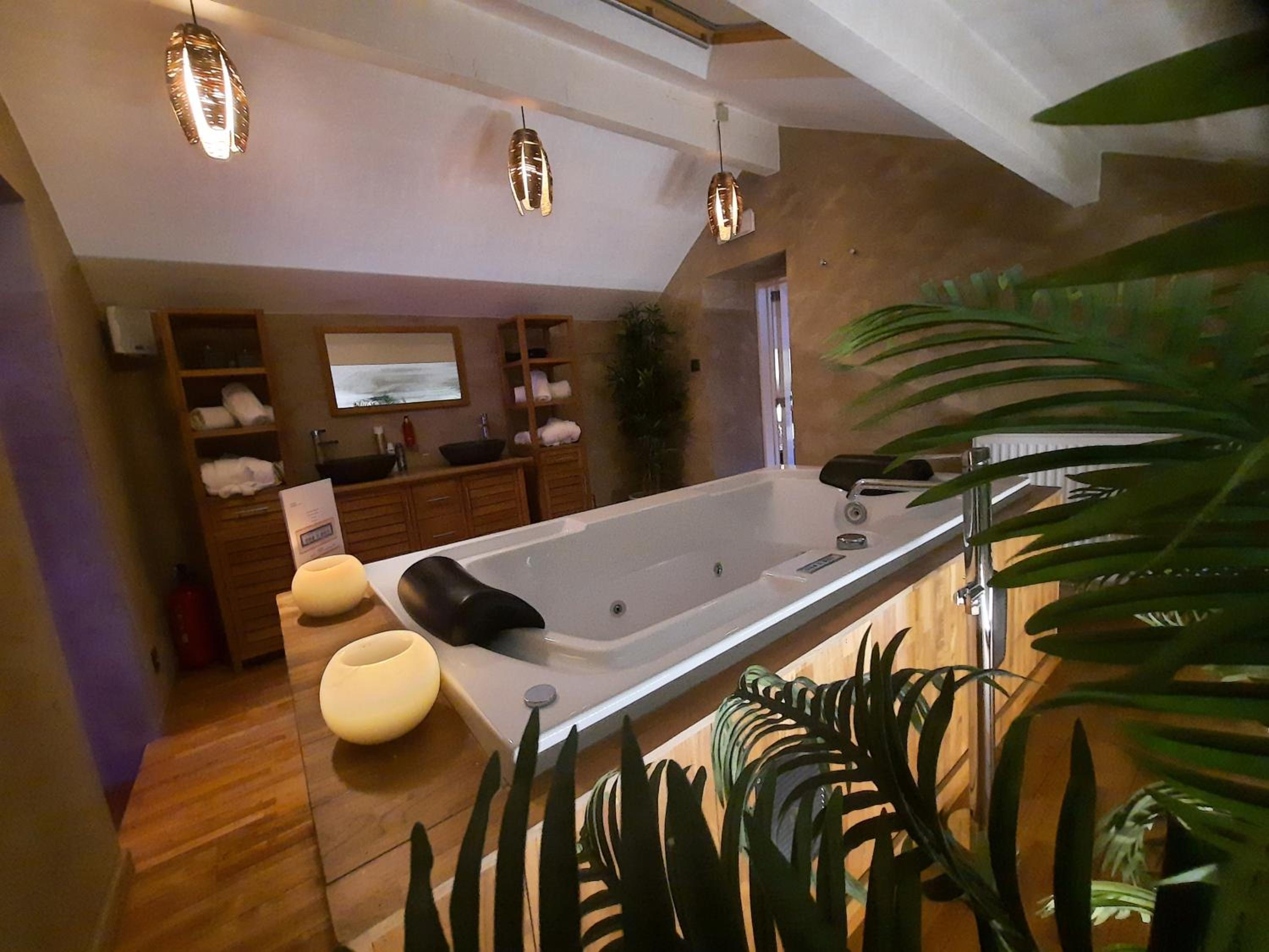 Deluxe Suite with Spa Bath photo 3