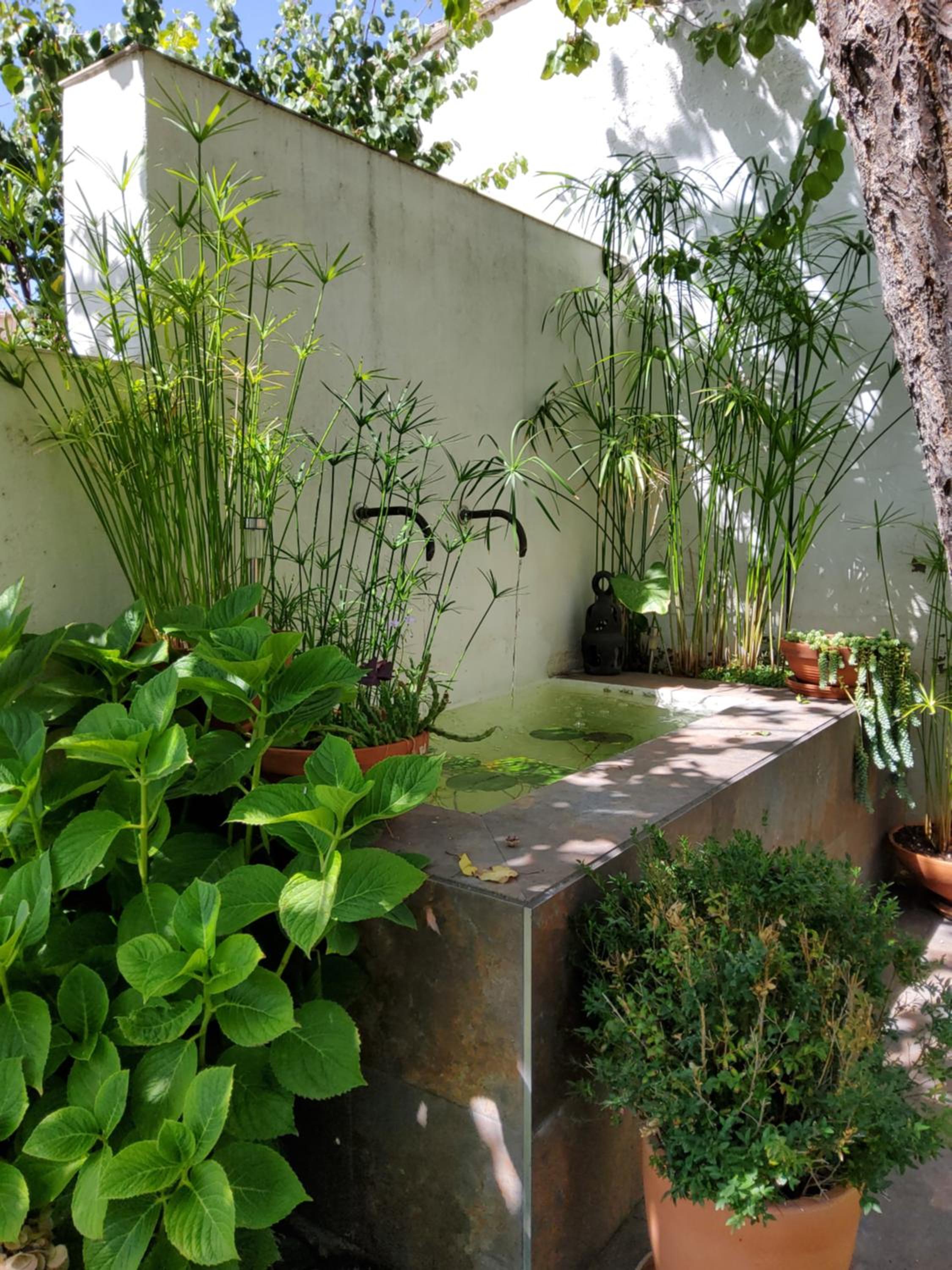 Three-Bedroom House photo 2