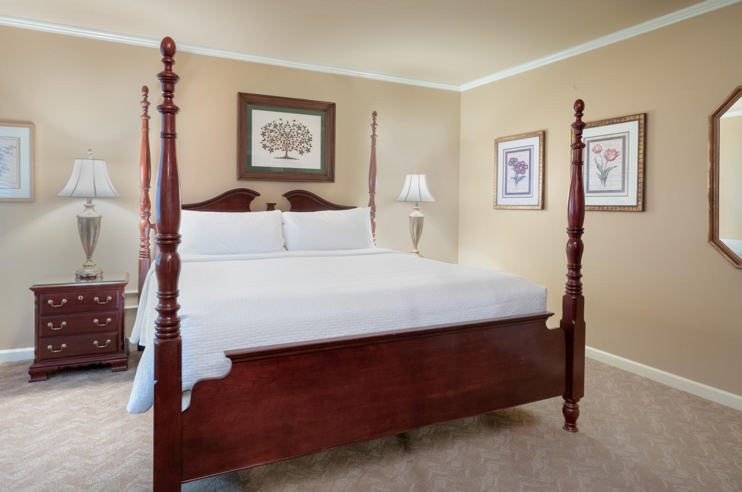 Premier Suite photo 1