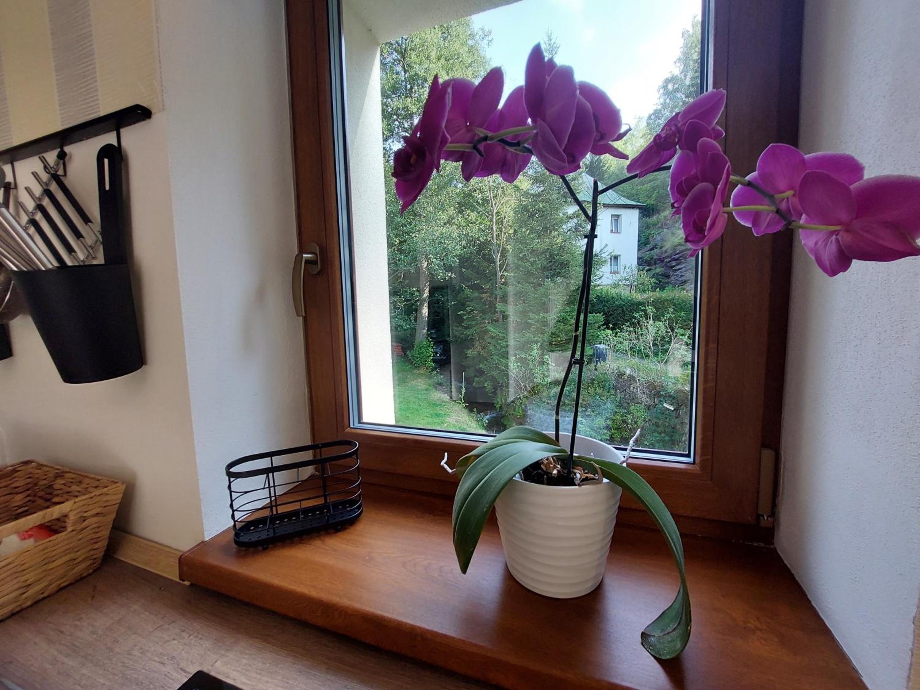 Apartment with Balcony photo 2