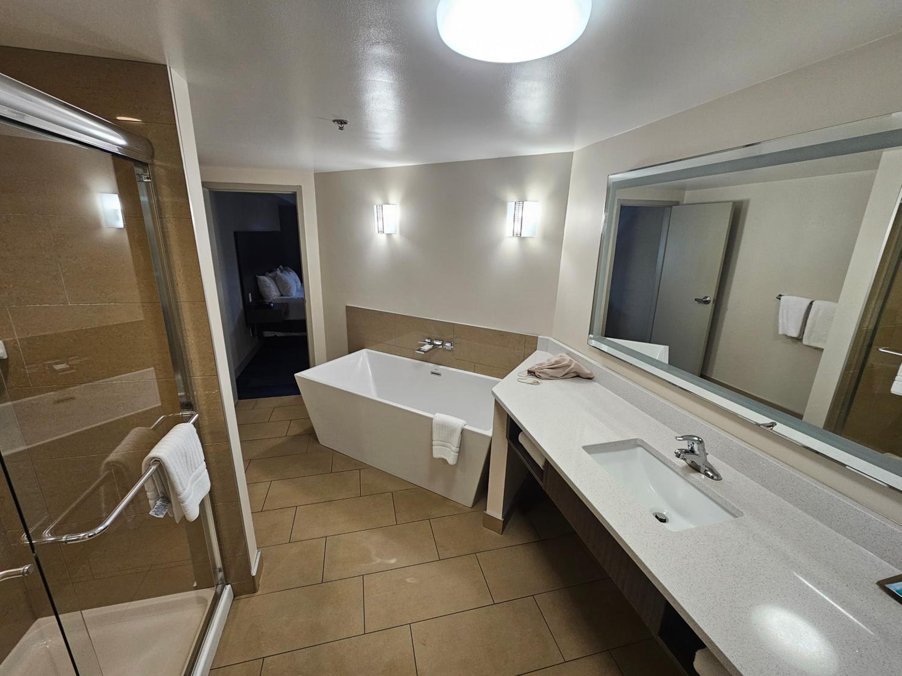 Ambassador King Suite - Photo 3