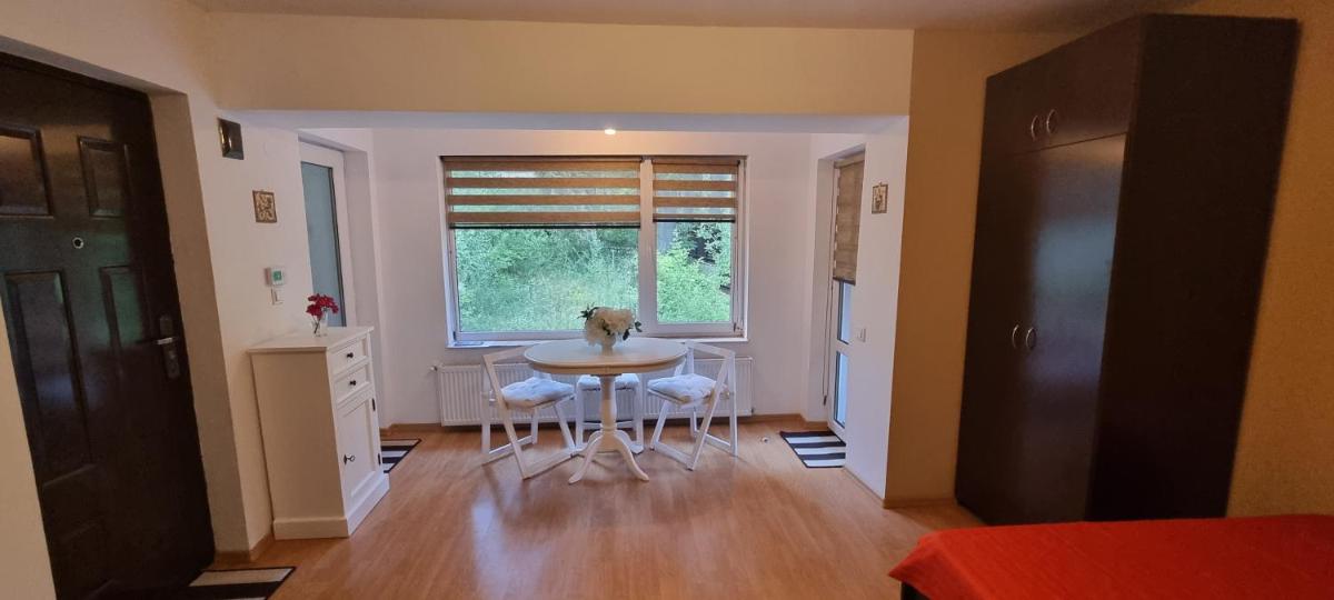 One-Bedroom Apartment - Photo 3
