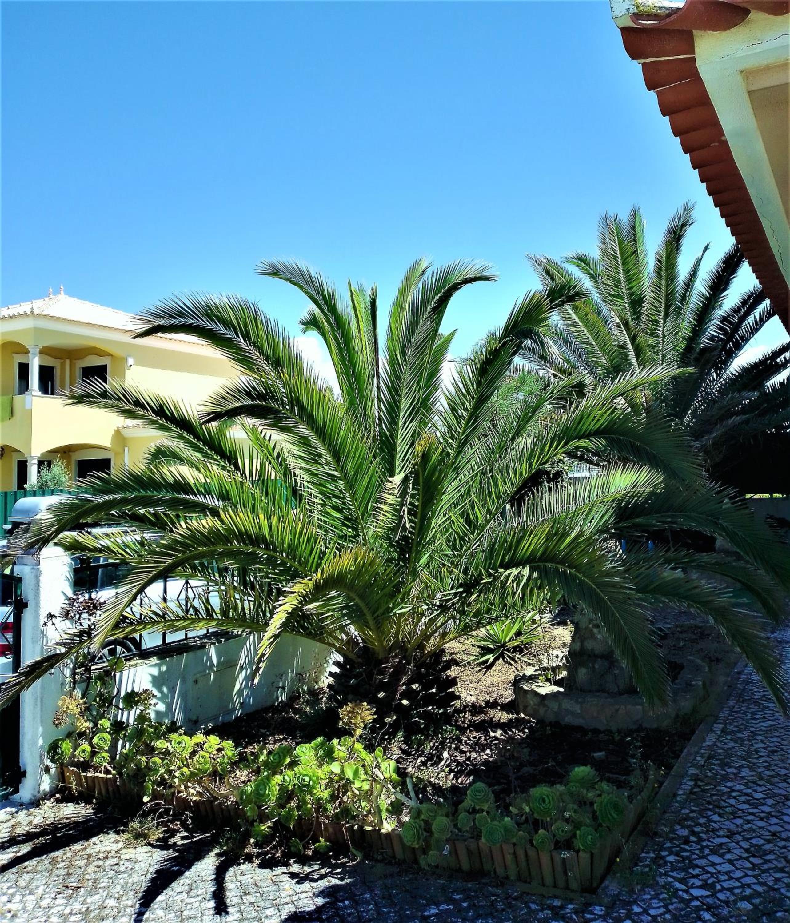 Chalet photo 3