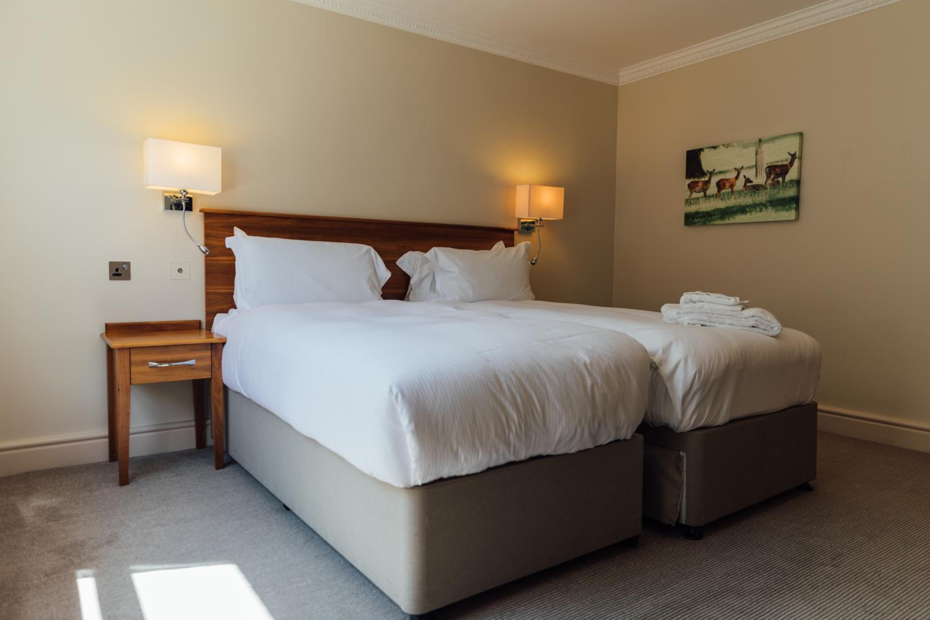Standard Twin Room photo 2