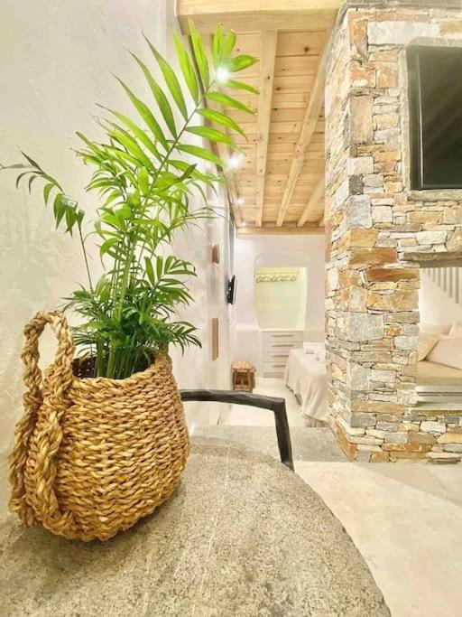 Two-Bedroom House photo 2