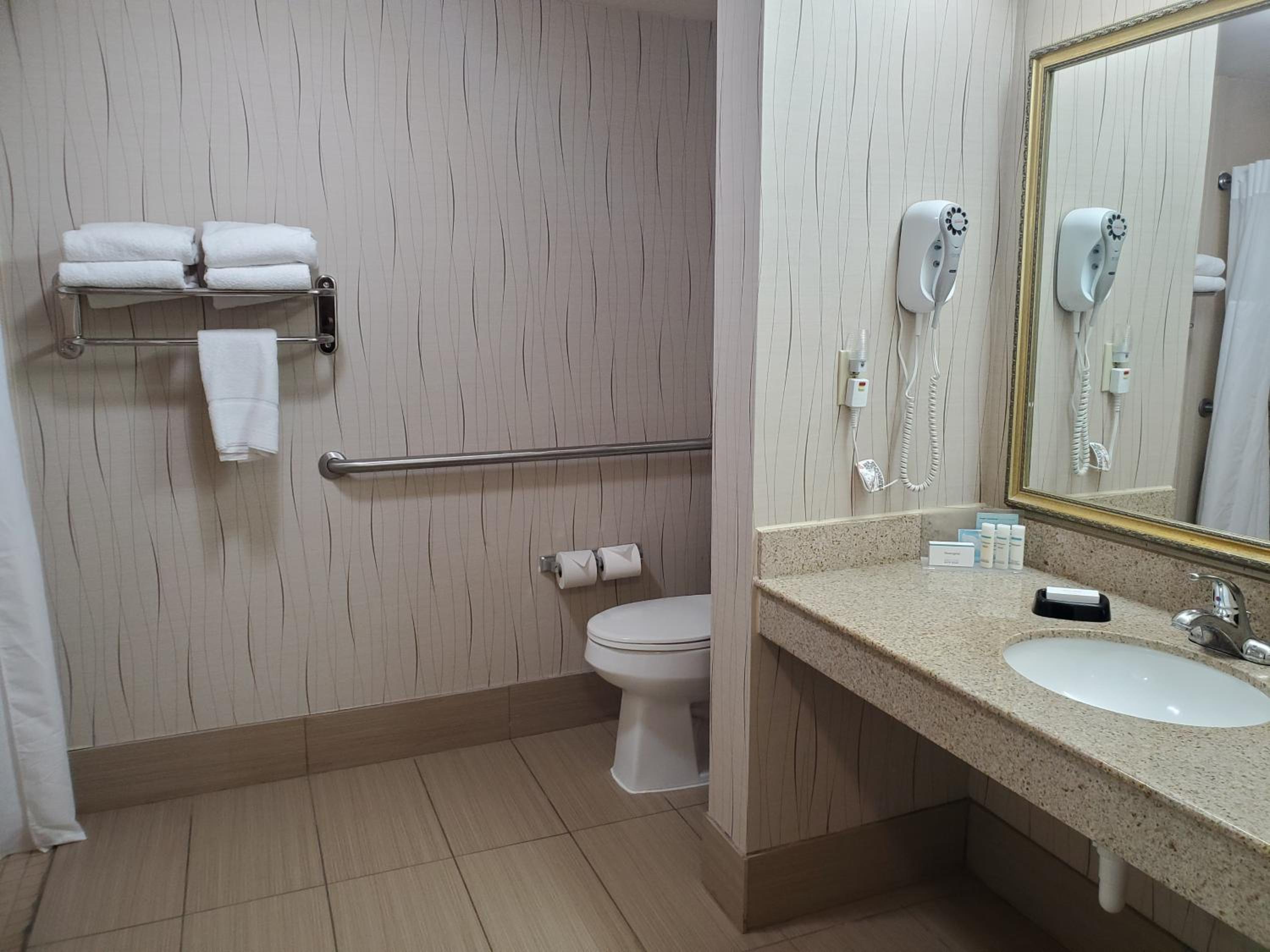 King Room With Sofa Bed And Roll-In Shower - Mobility Access/Non-Smoking - Photo 4