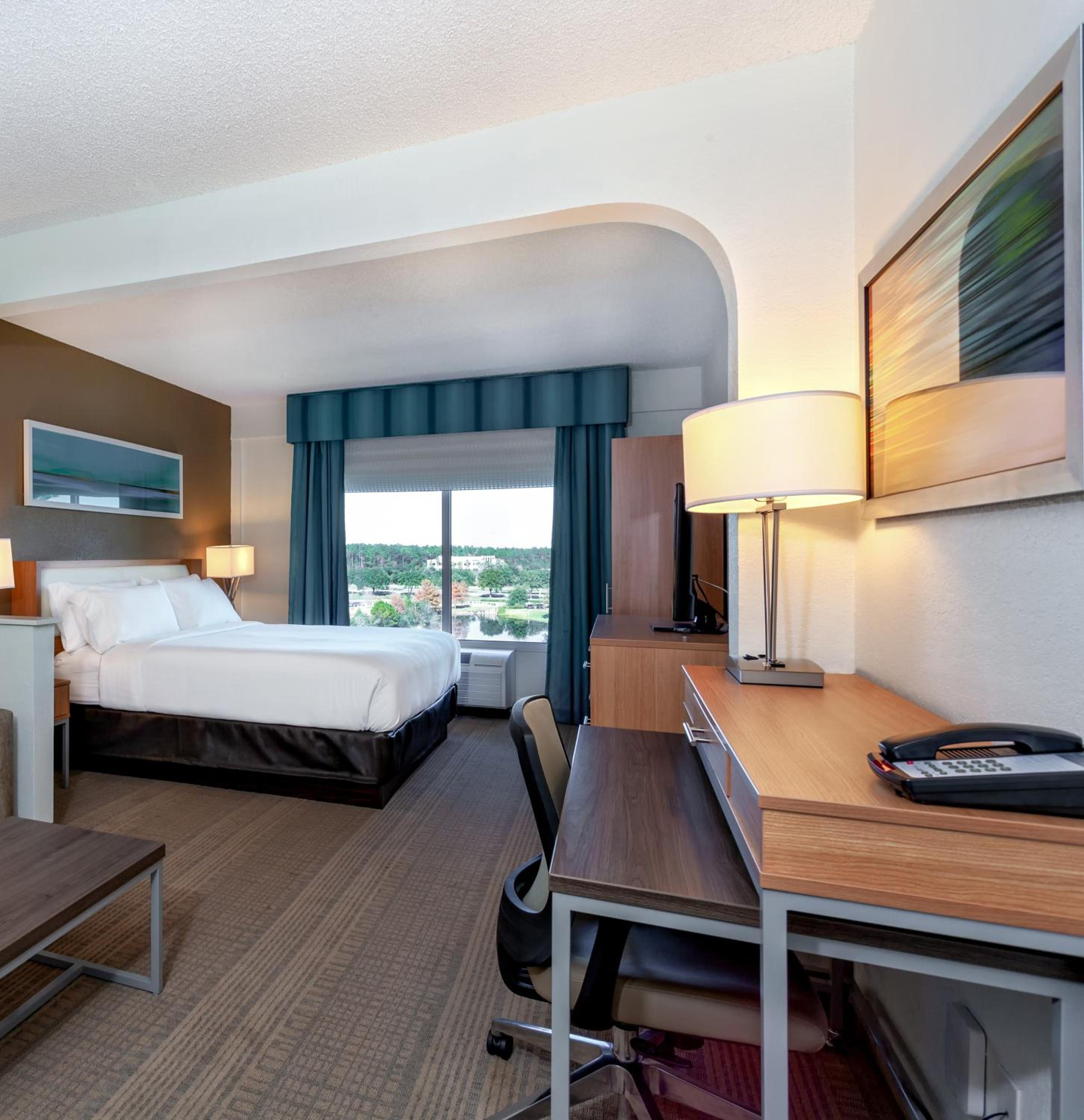 Standard King Room with Lake View - Photo 7