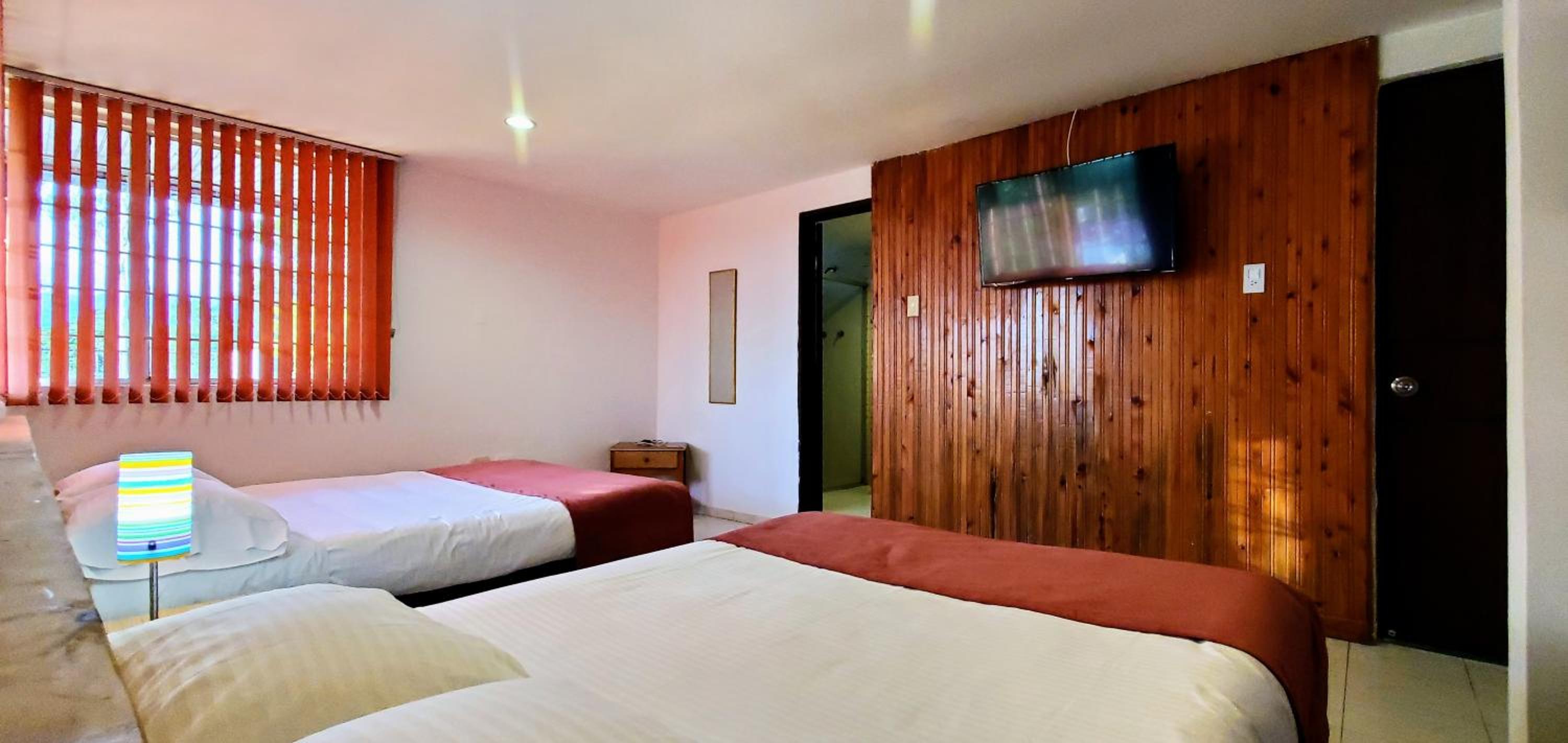 Twin Room photo 2