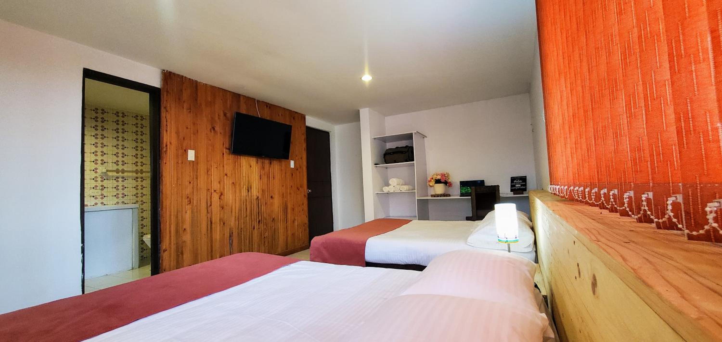 Twin Room photo 3