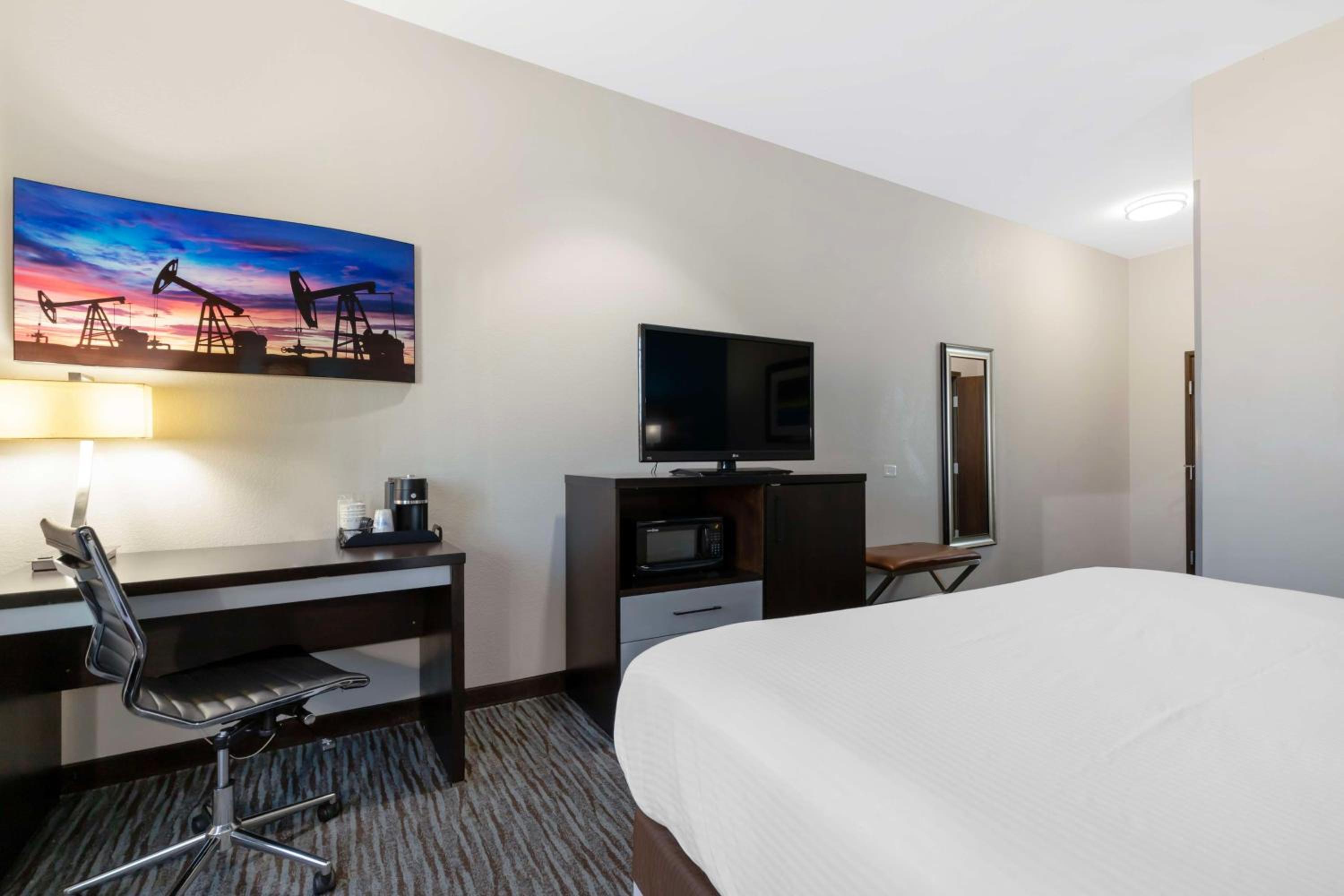 King Room with Roll-In Shower - Mobility Access/Communication Assistance