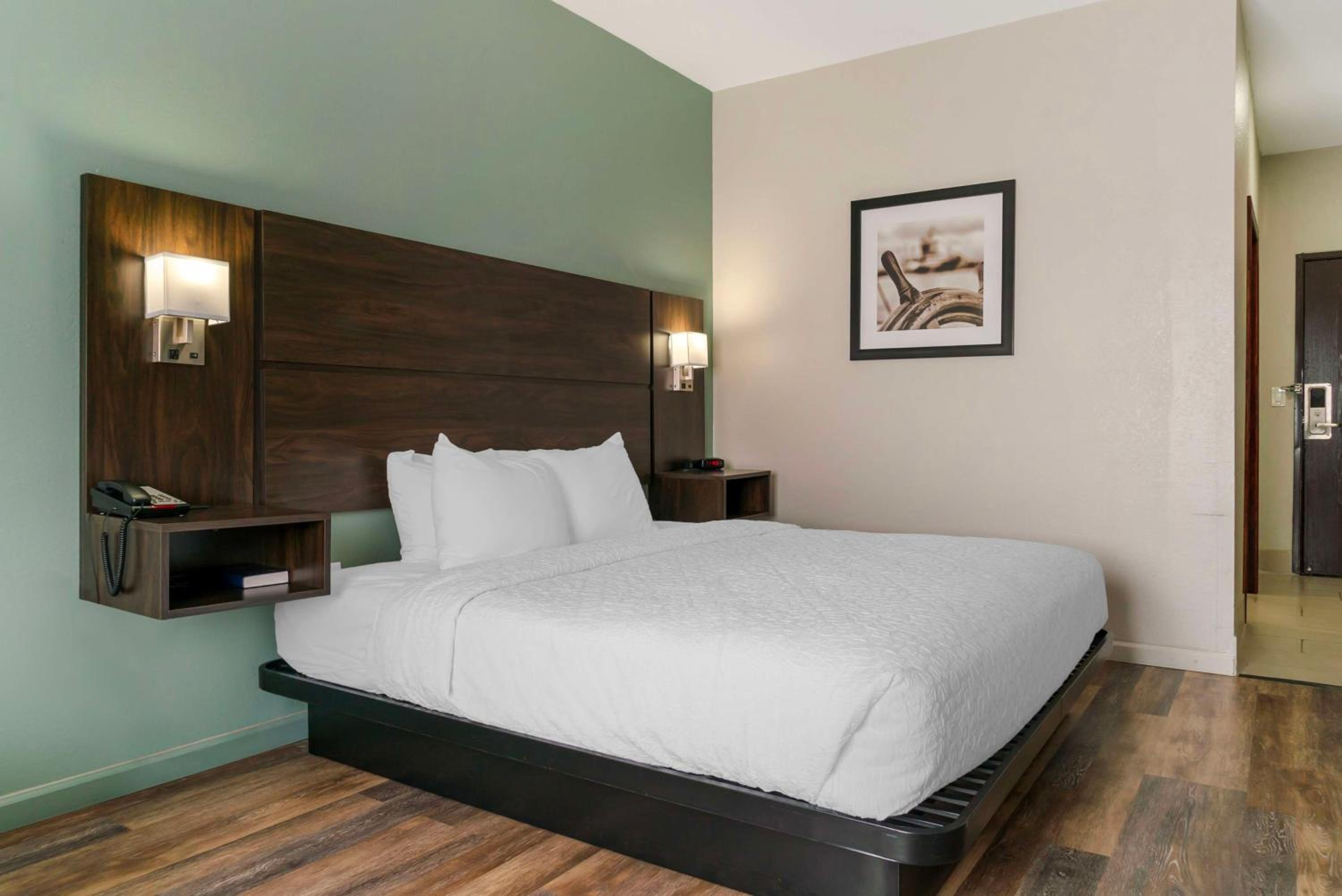King Room with Walk-in Shower - Disability Access - Photo 2