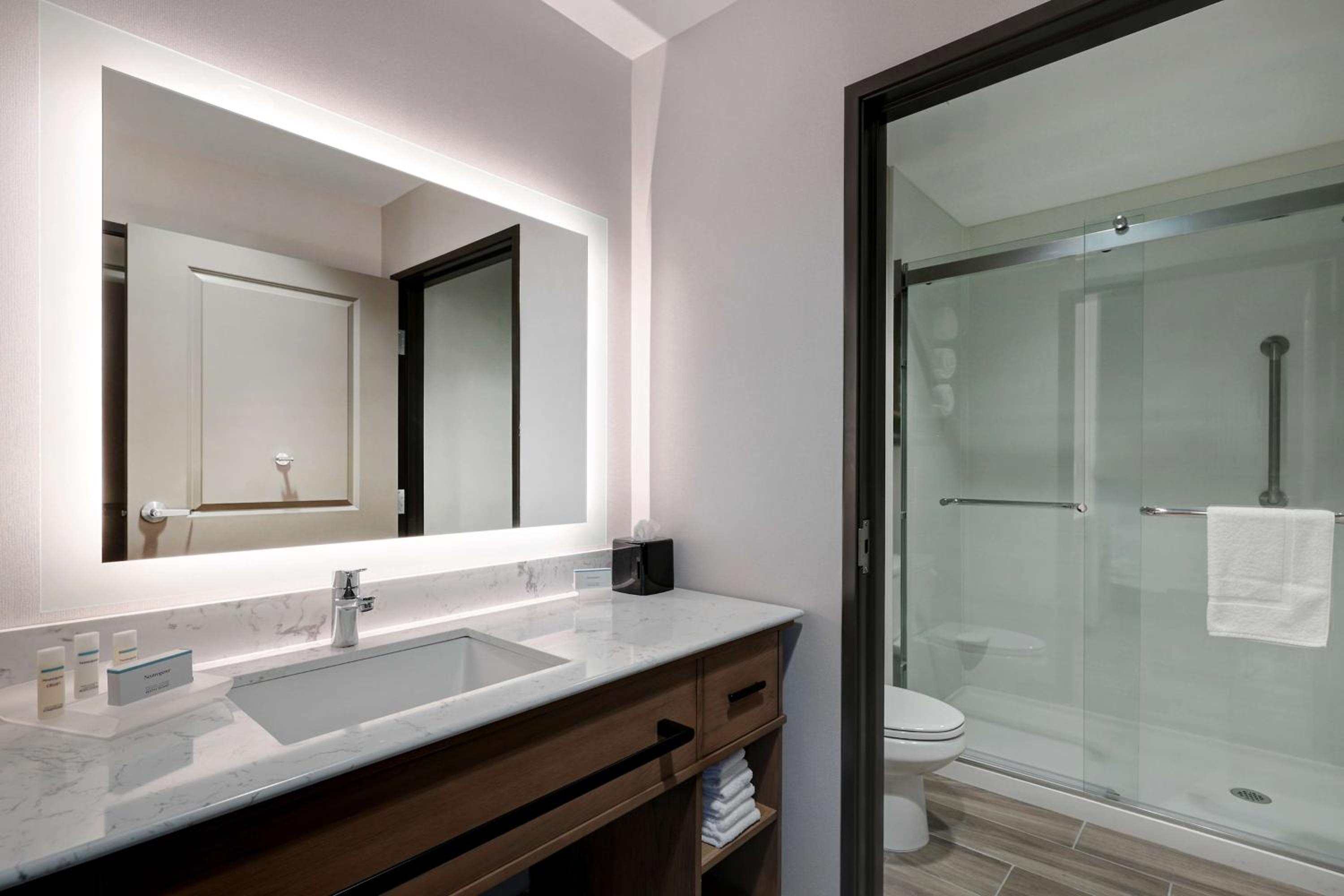 One-Bedroom King Suite photo 2